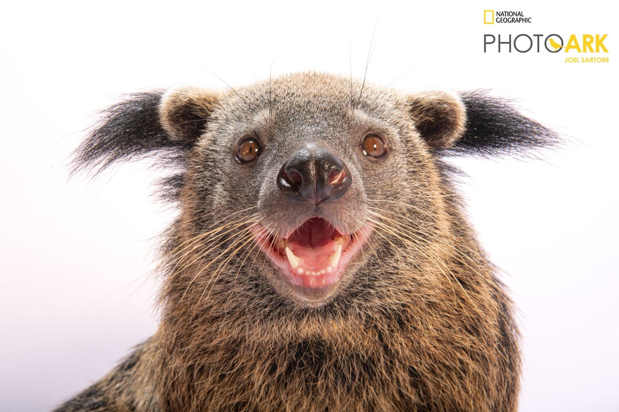 Vinpearl Safari Phu Quoc anh 12