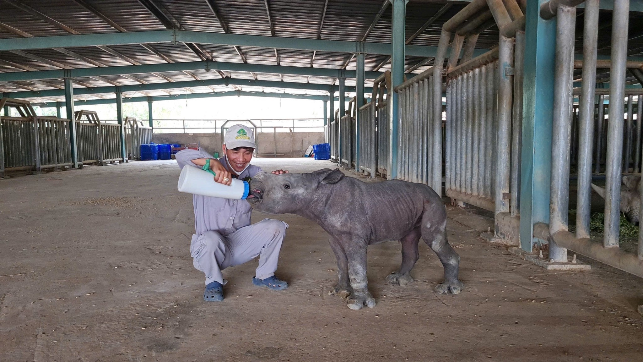 Vinpearl Safari Phú Quốc ảnh 4 Vinpearl Safari Phu Quoc anh 4