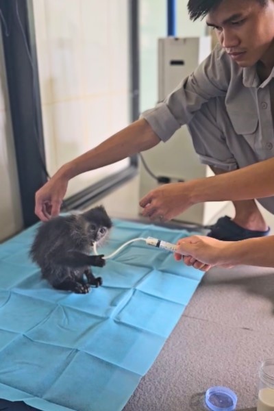 Vinpearl Safari Phú Quốc ảnh 5 Vinpearl Safari Phu Quoc anh 5