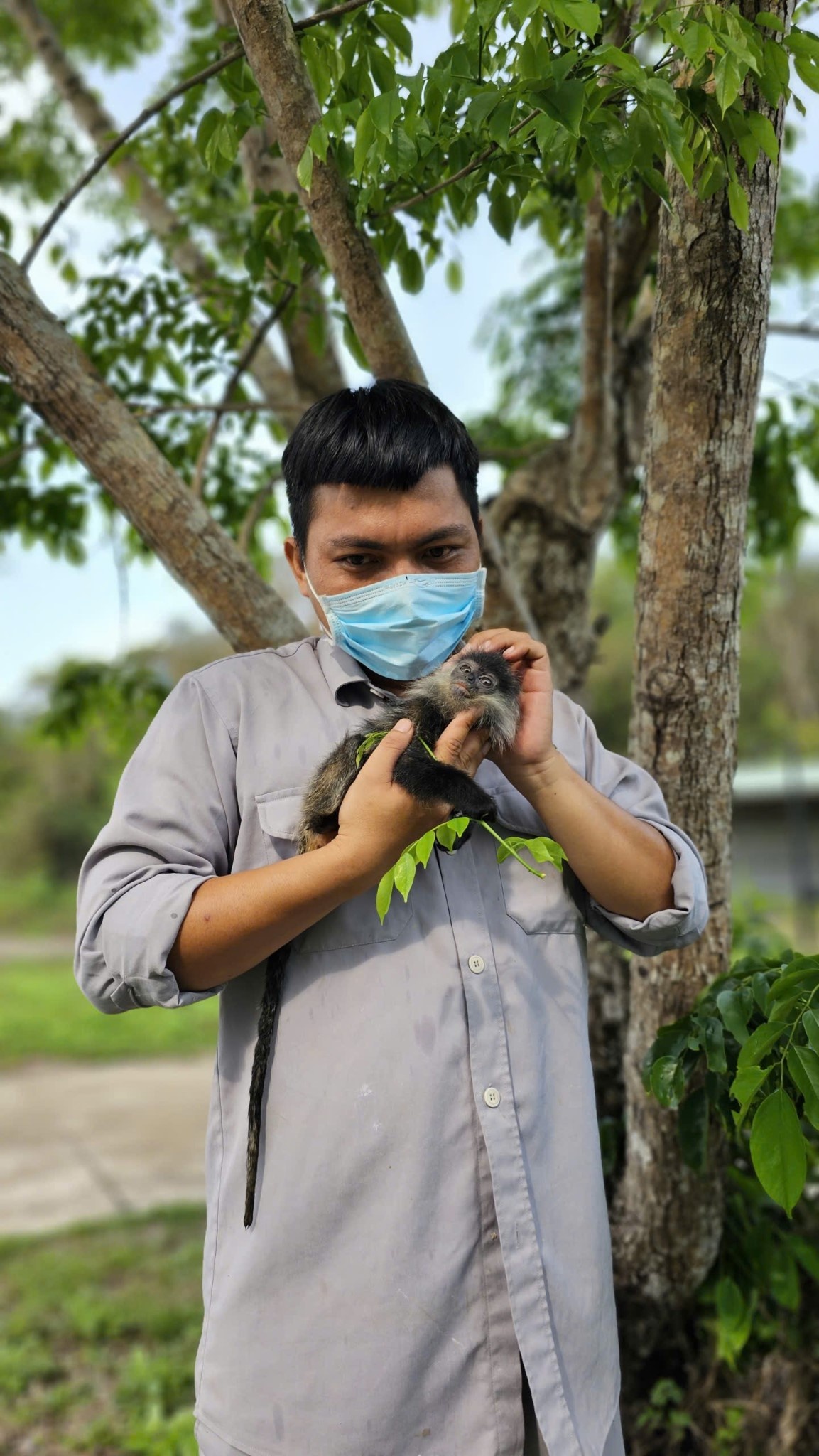 Vinpearl Safari Phú Quốc ảnh 7 Vinpearl Safari Phu Quoc anh 7