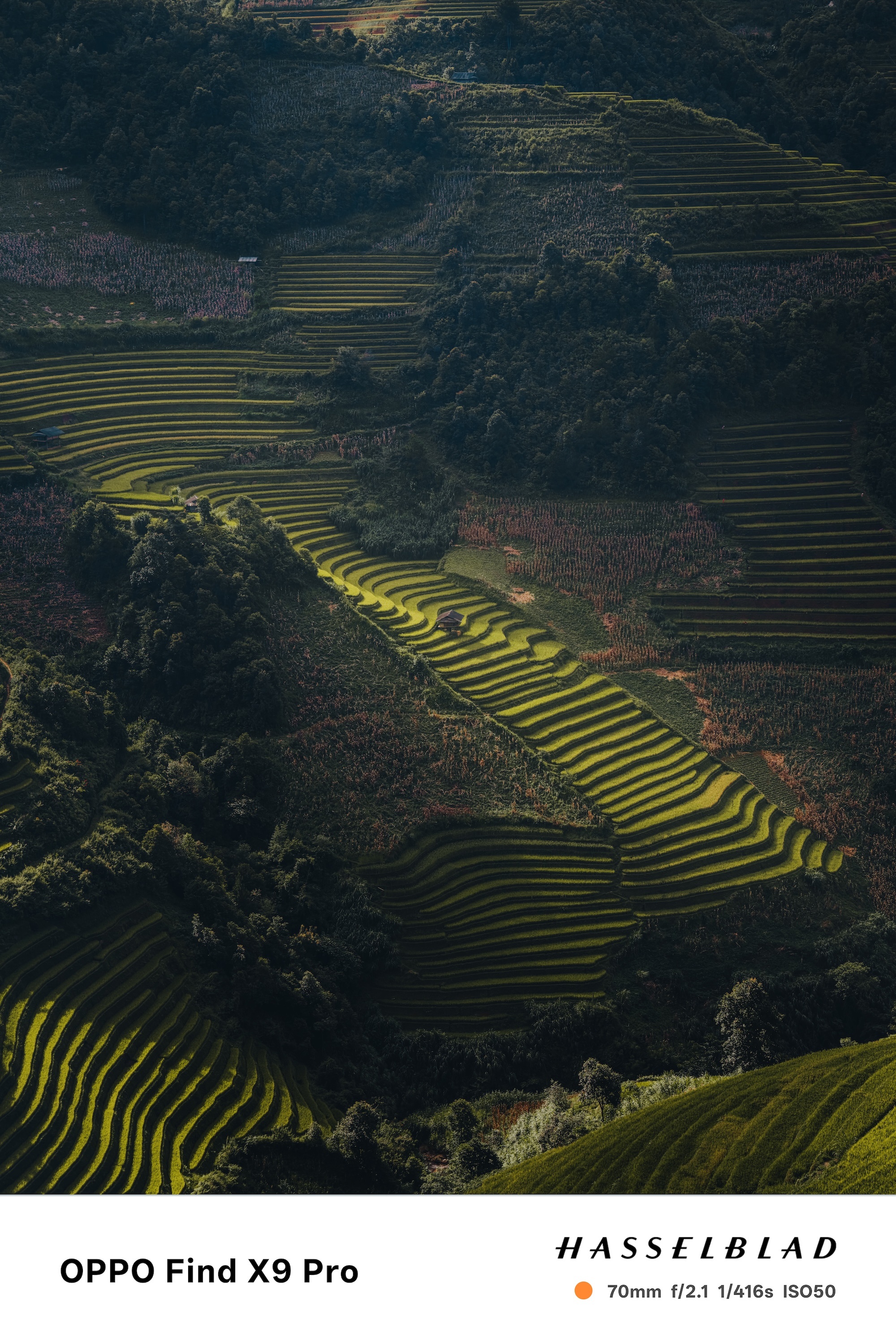 Oppo Find X9 series ảnh 5 Oppo Find X9 series anh 5