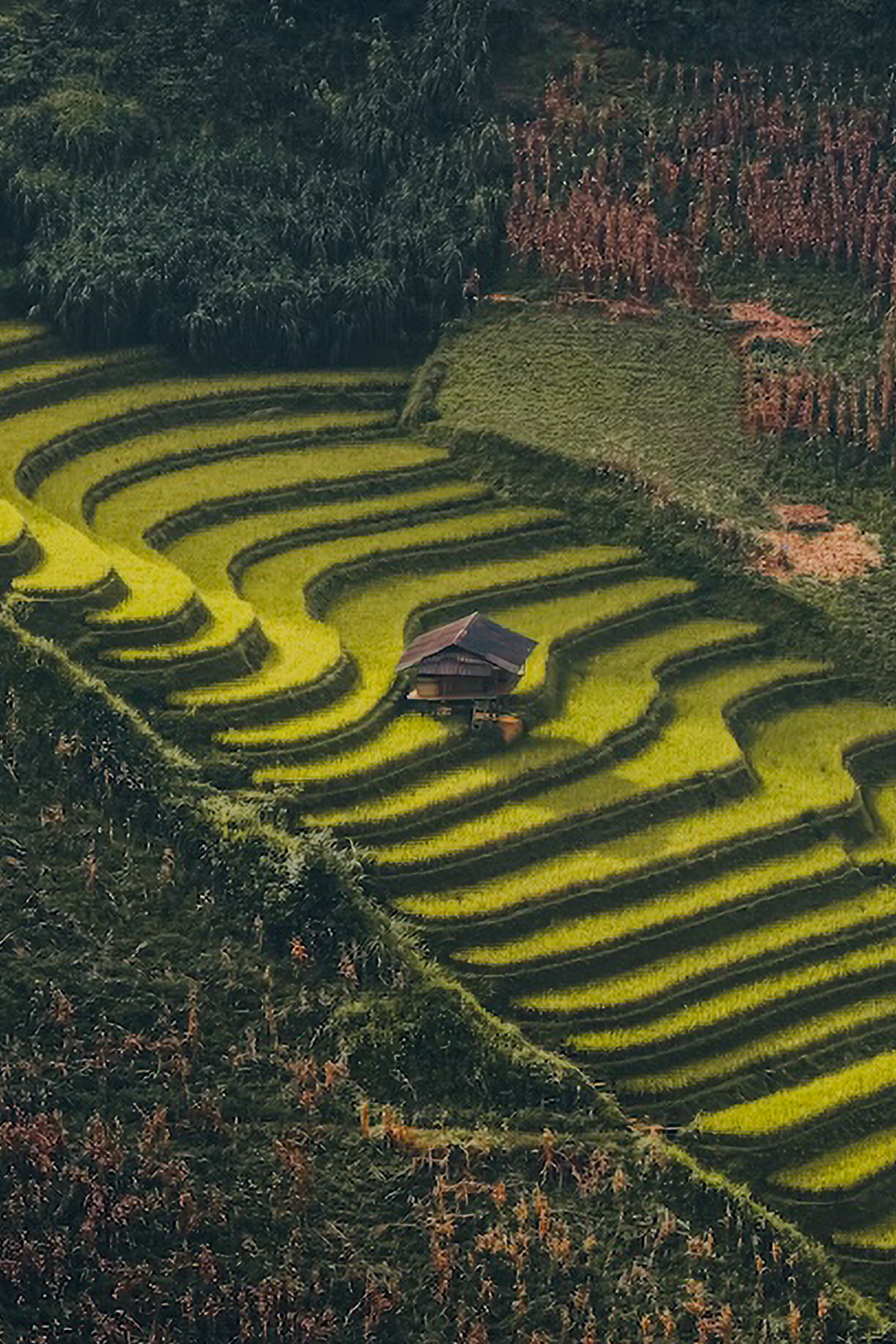 Oppo Find X9 series ảnh 7 Oppo Find X9 series anh 7