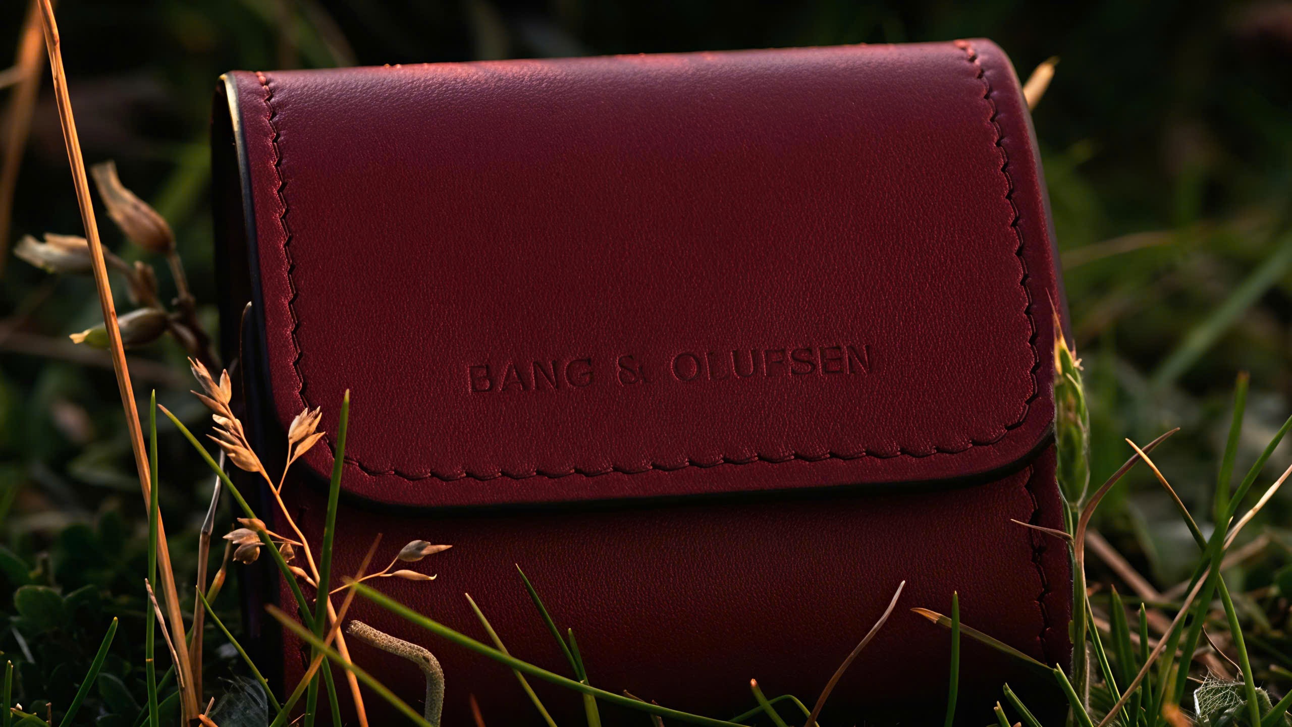 Bang & Olufsen anh 4