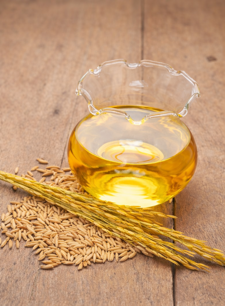 Neptune Olive Light ảnh 2 Neptune Olive Light anh 2