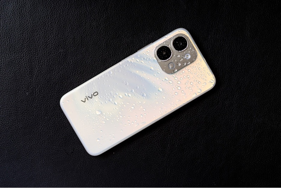 vivo anh 2
