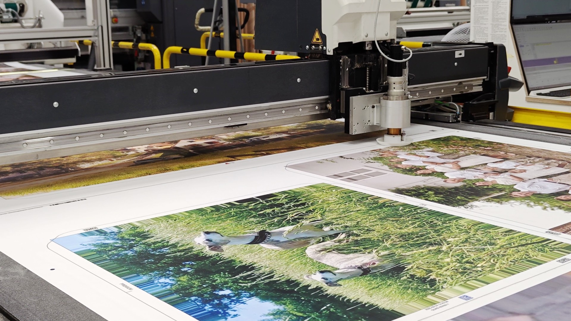 The Customization Group anh 1