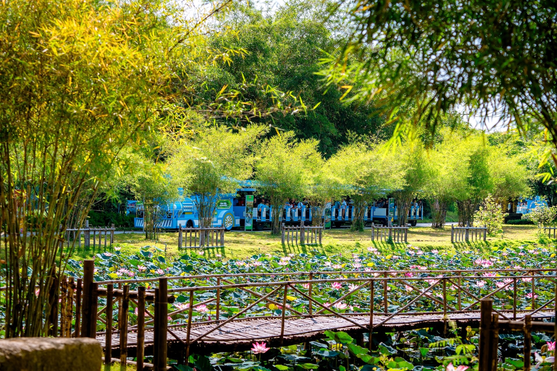 Son Tien tang ve mien phi nhan dip ra mat khu du lich Dong Nam Bo hinh anh