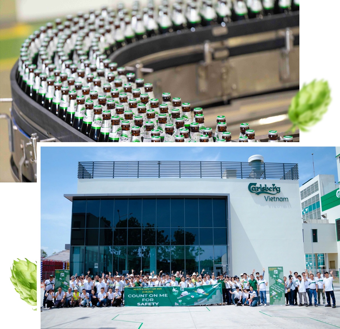 Carlsberg Việt Nam ảnh 7 Carlsberg Viet Nam anh 7