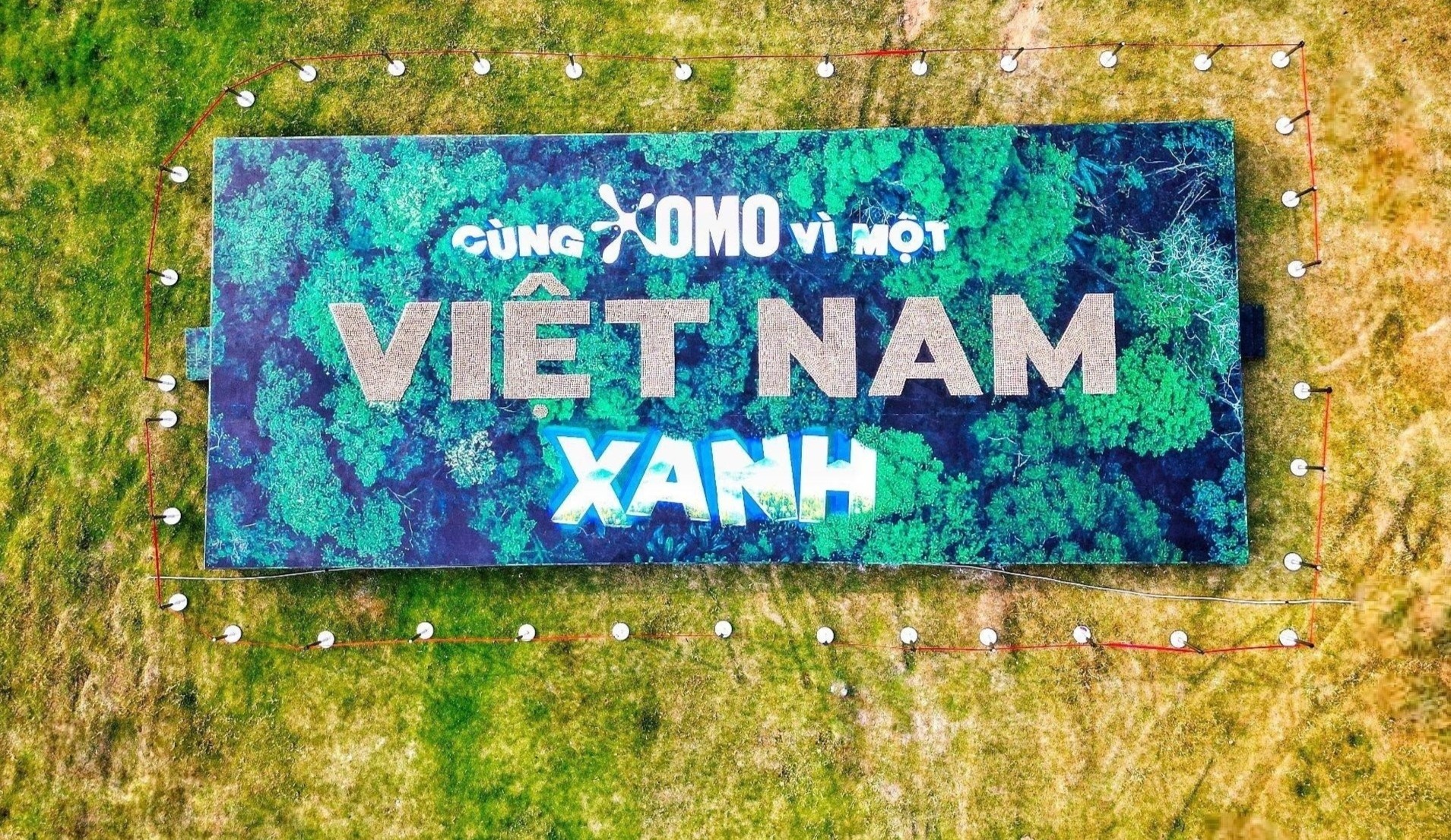 OMO lap ky luc Guinness, cam ket trong 1 trieu cay giai doan 2026-2030 hinh anh