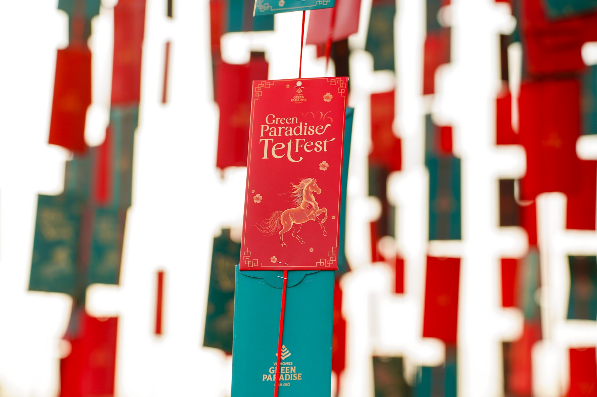 Le hoi Xuan Can Gio anh 6