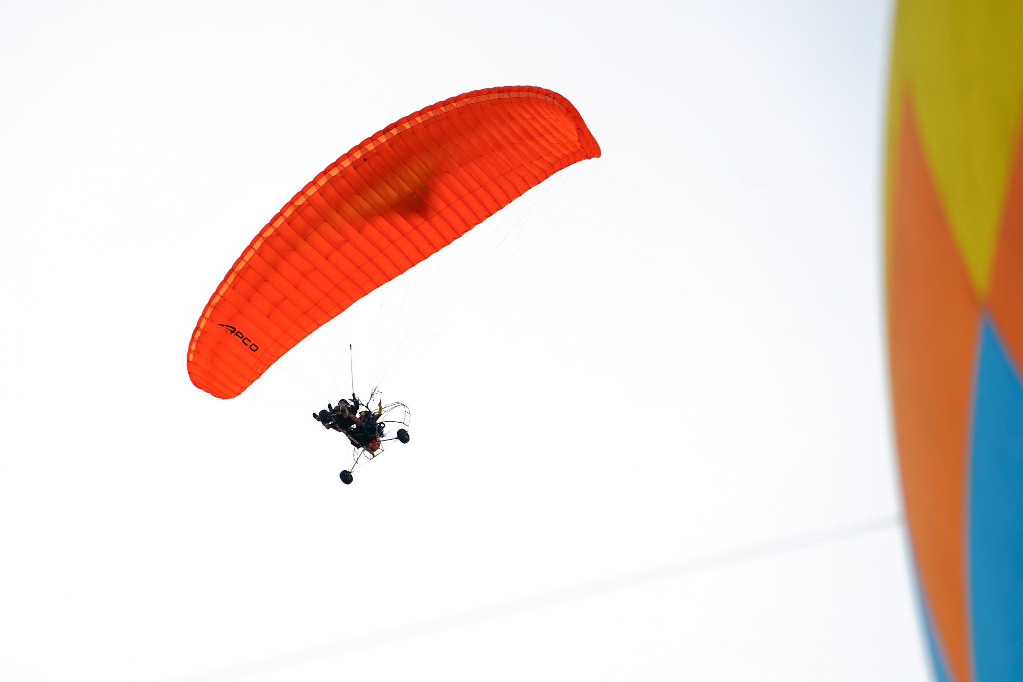 Le hoi Xuan Can Gio anh 3