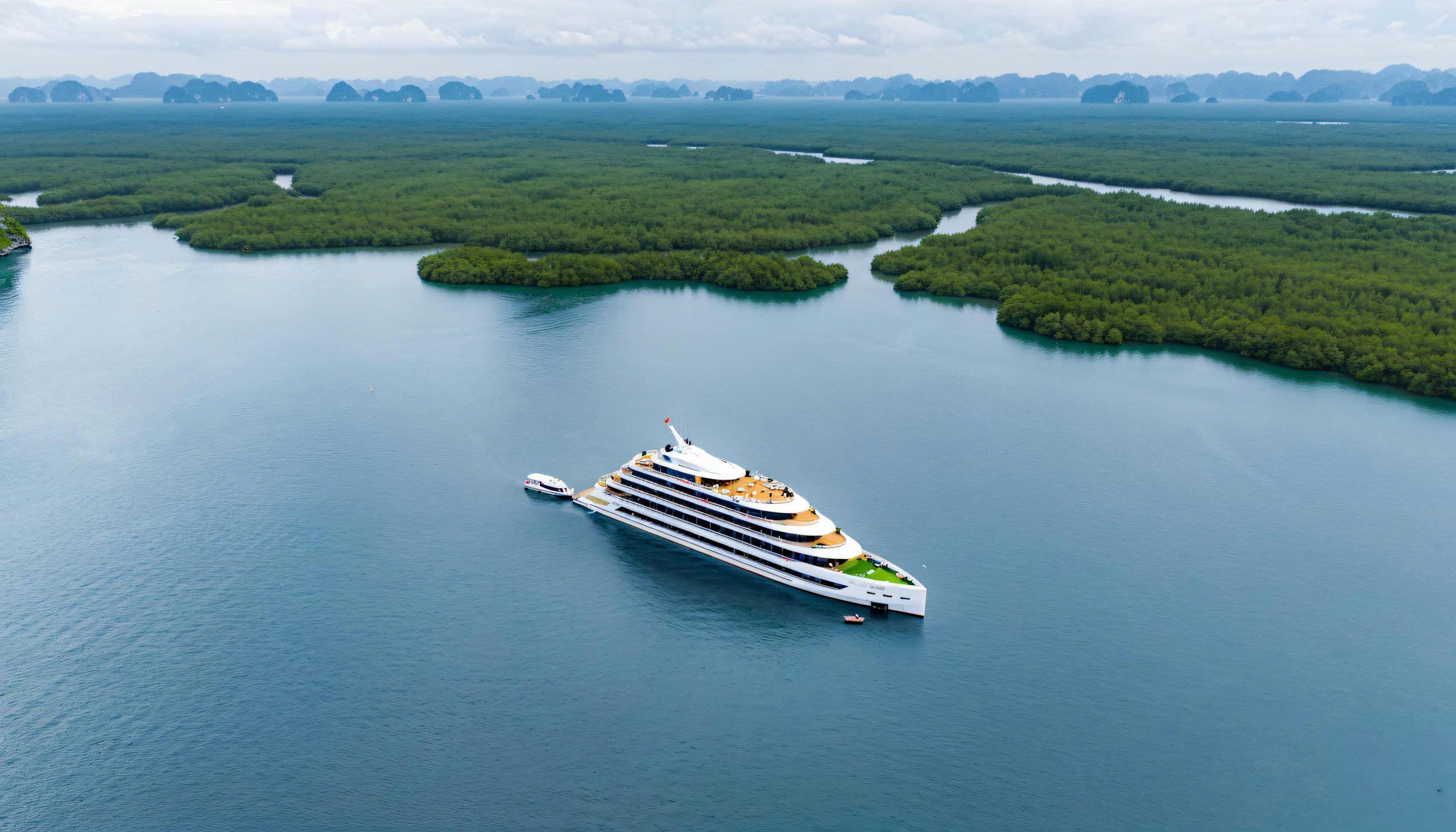 TP.HCM don sieu du thuyen 6 sao dau tien tren song Sai Gon hinh anh