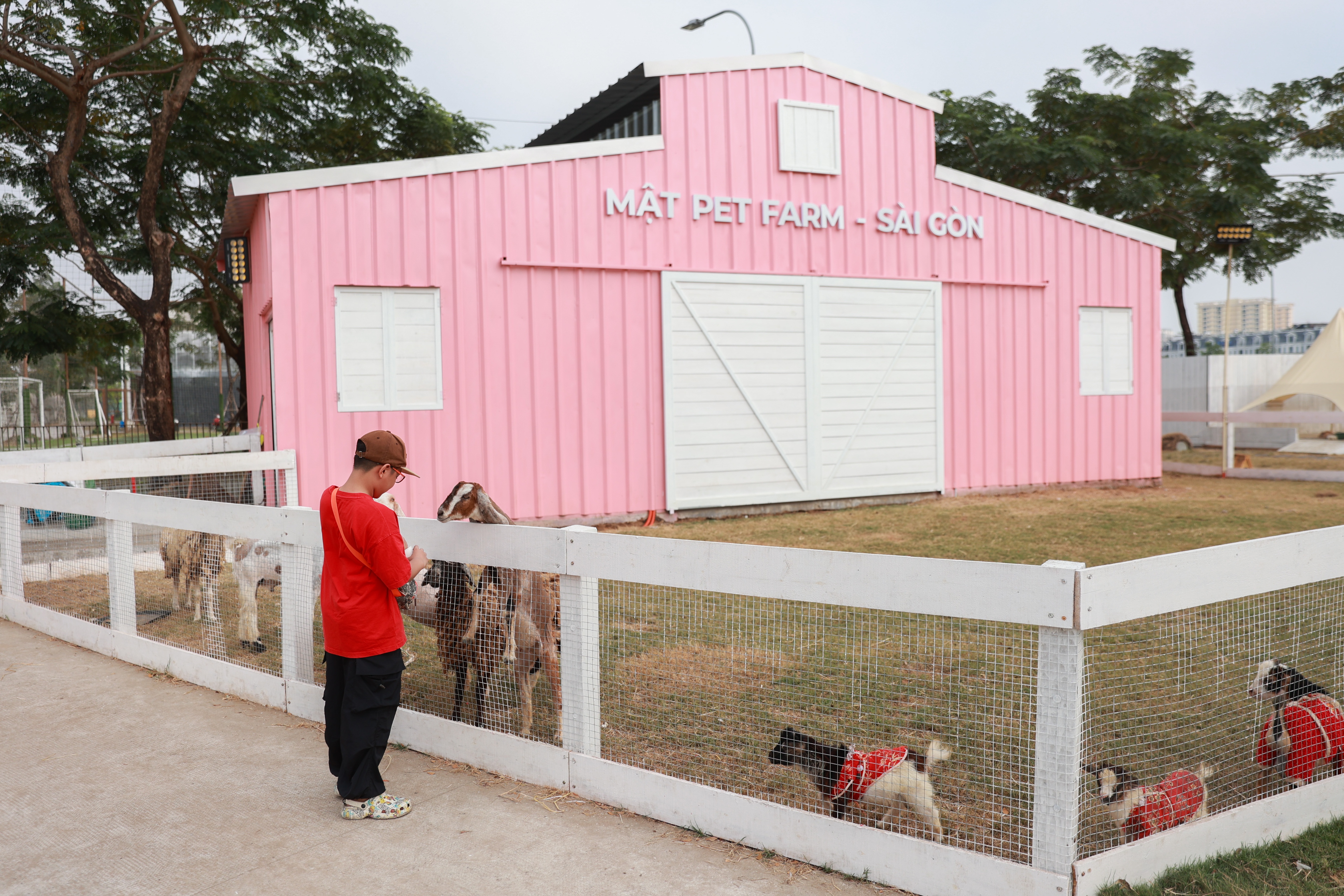 The Global City anh 7