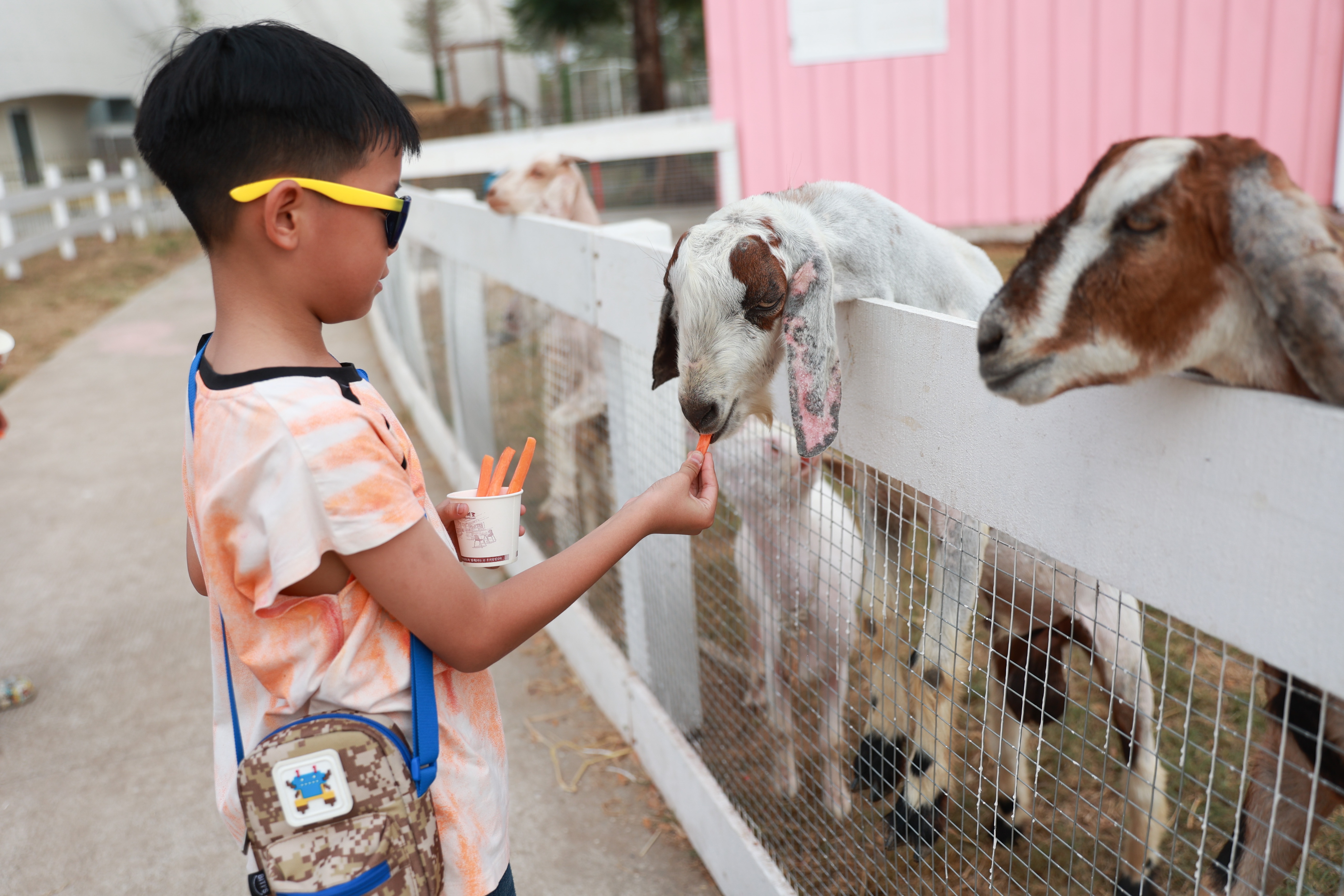 The Global City anh 8