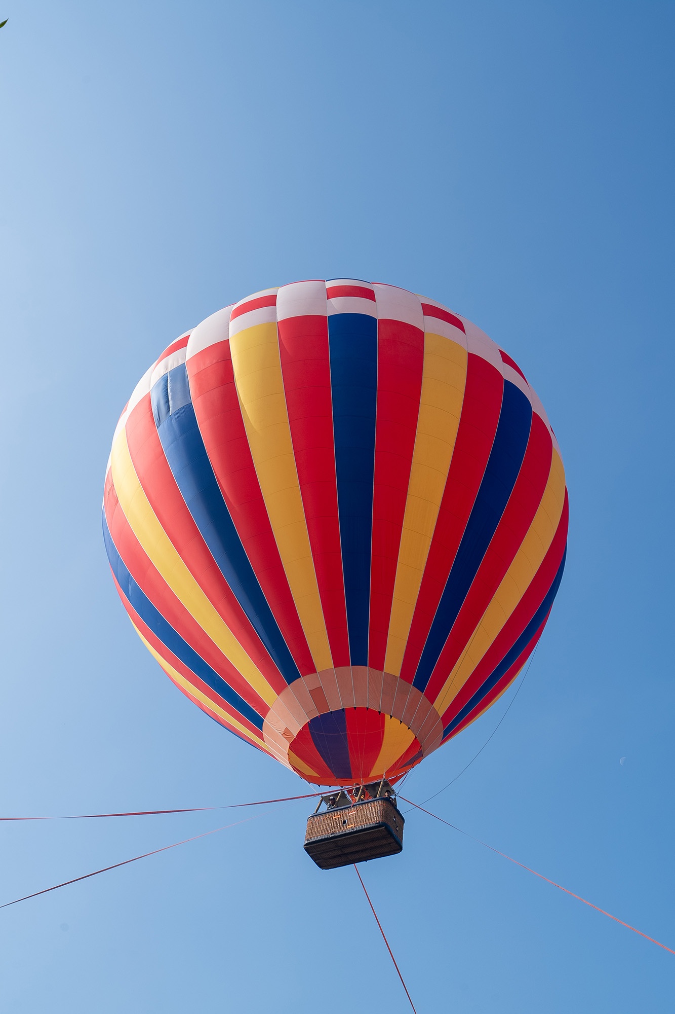 Vinhomes Green Paradise anh 6