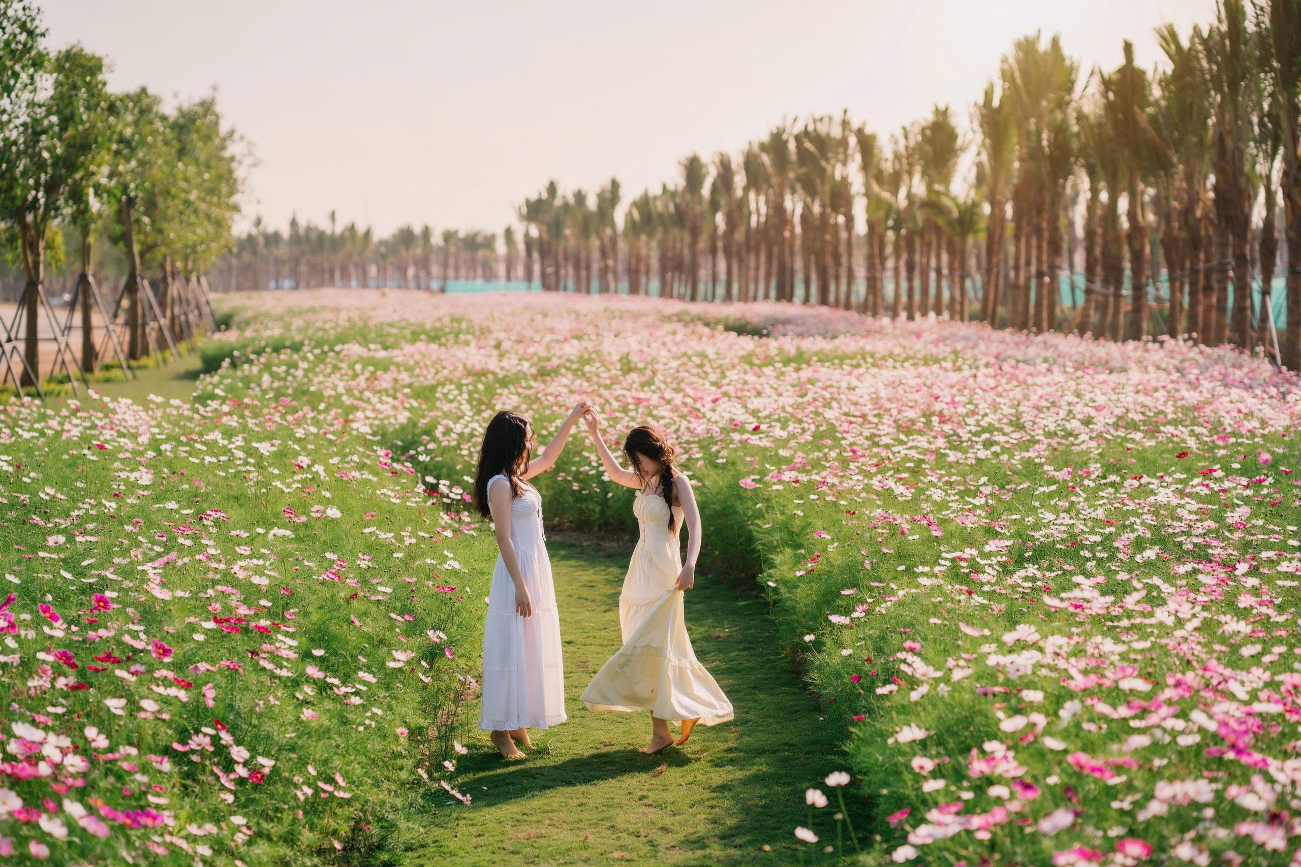 Ecopark tran ngap sac hoa khap 3 mien dip Tet Binh Ngo 2026 hinh anh