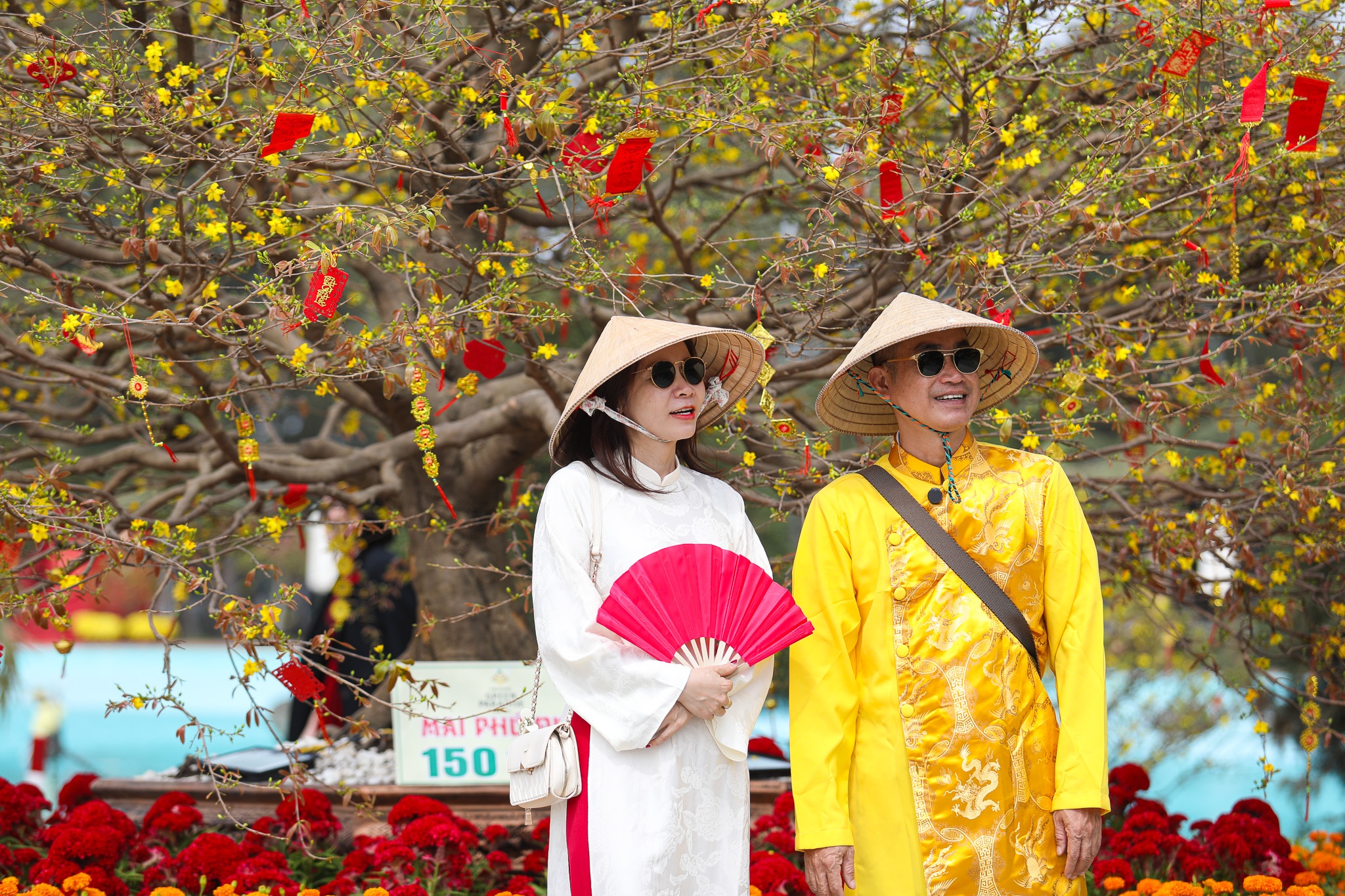 VinhomesGreenParadise anh 8