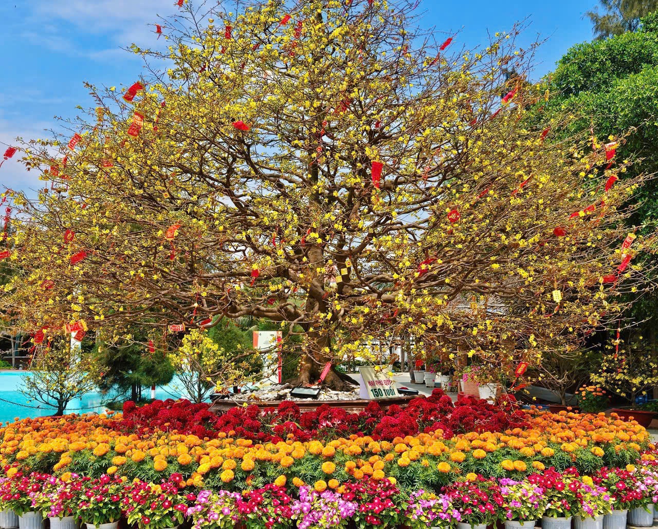 VinhomesGreenParadise anh 5