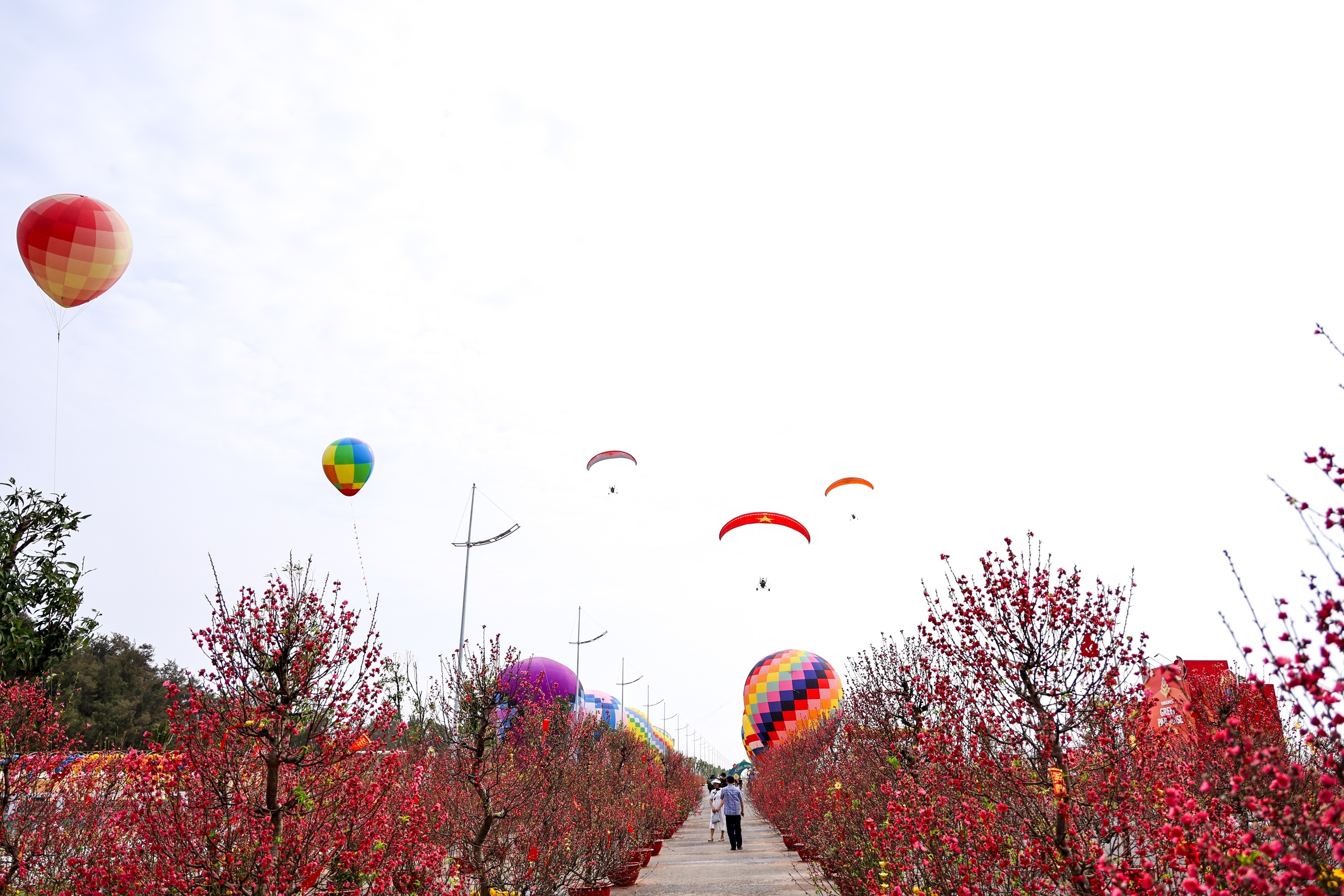 lehoixuancangio anh 6