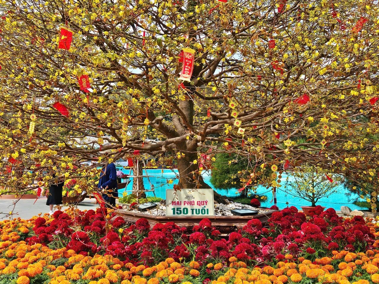 GreenParadiseTetFest anh 17