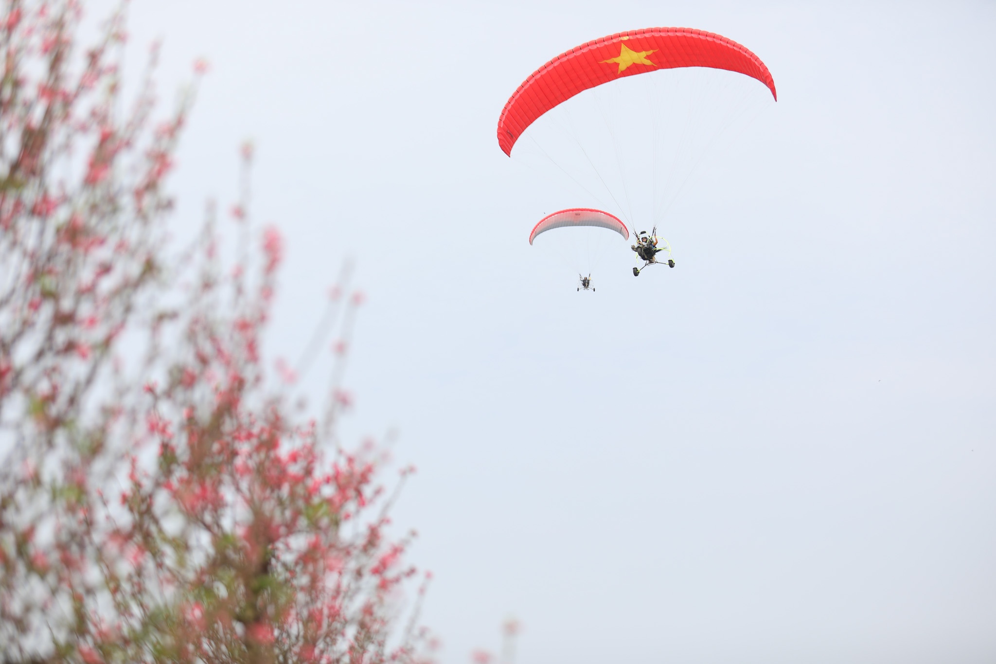 GreenParadiseTetFest anh 9