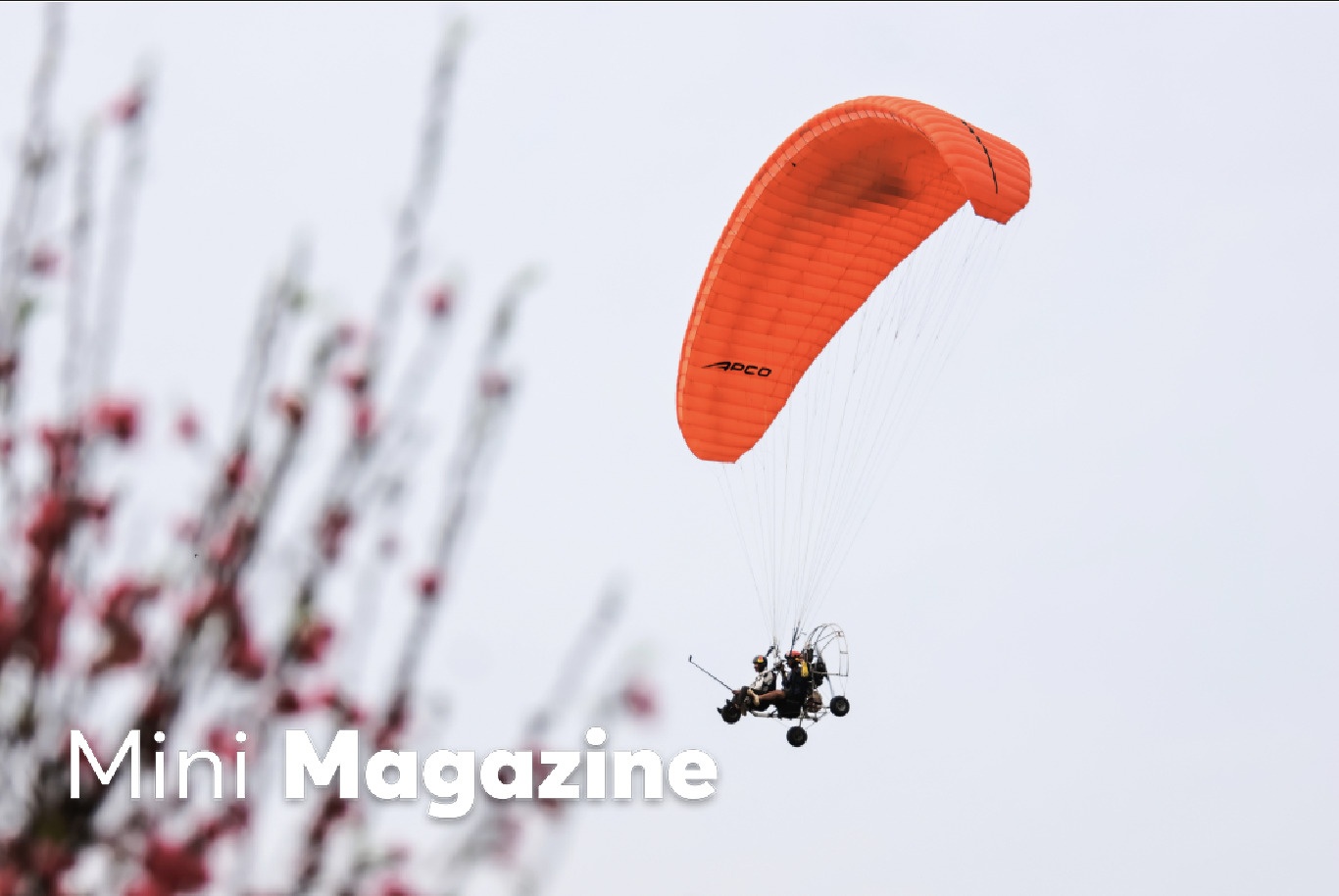 Du khach do ve Can Gio de trai nghiem hanh trinh 'du xuan tren khong' hinh anh