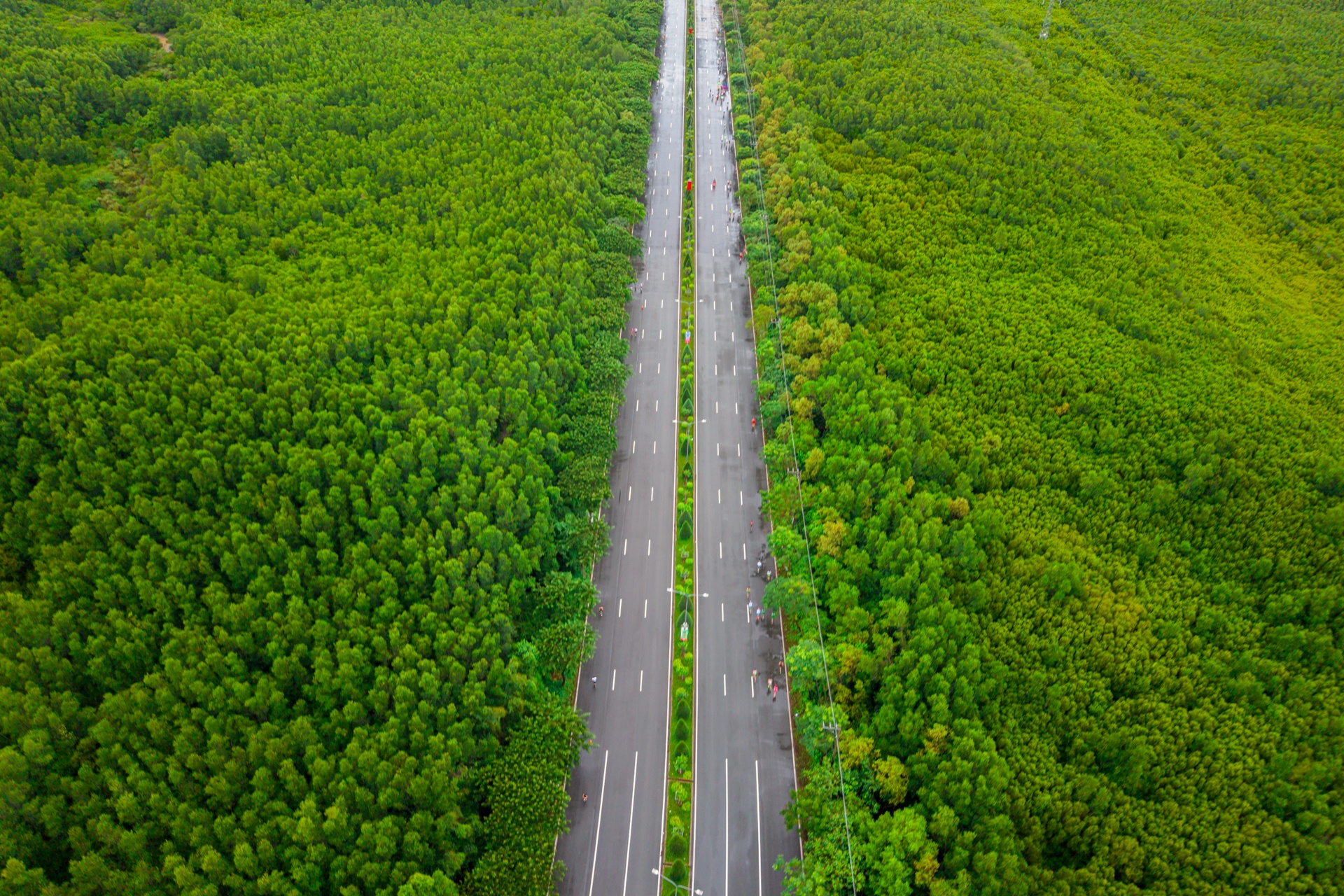 lehoixuancangio anh 1