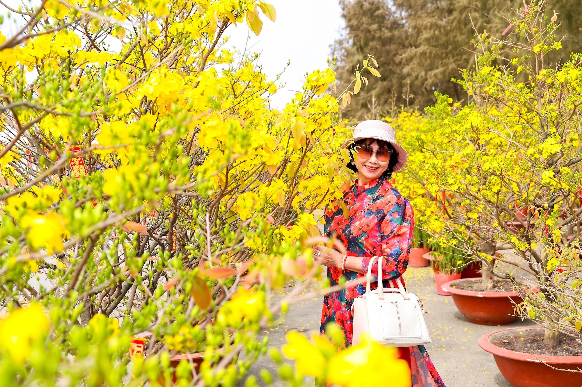 lehoixuancangio anh 3