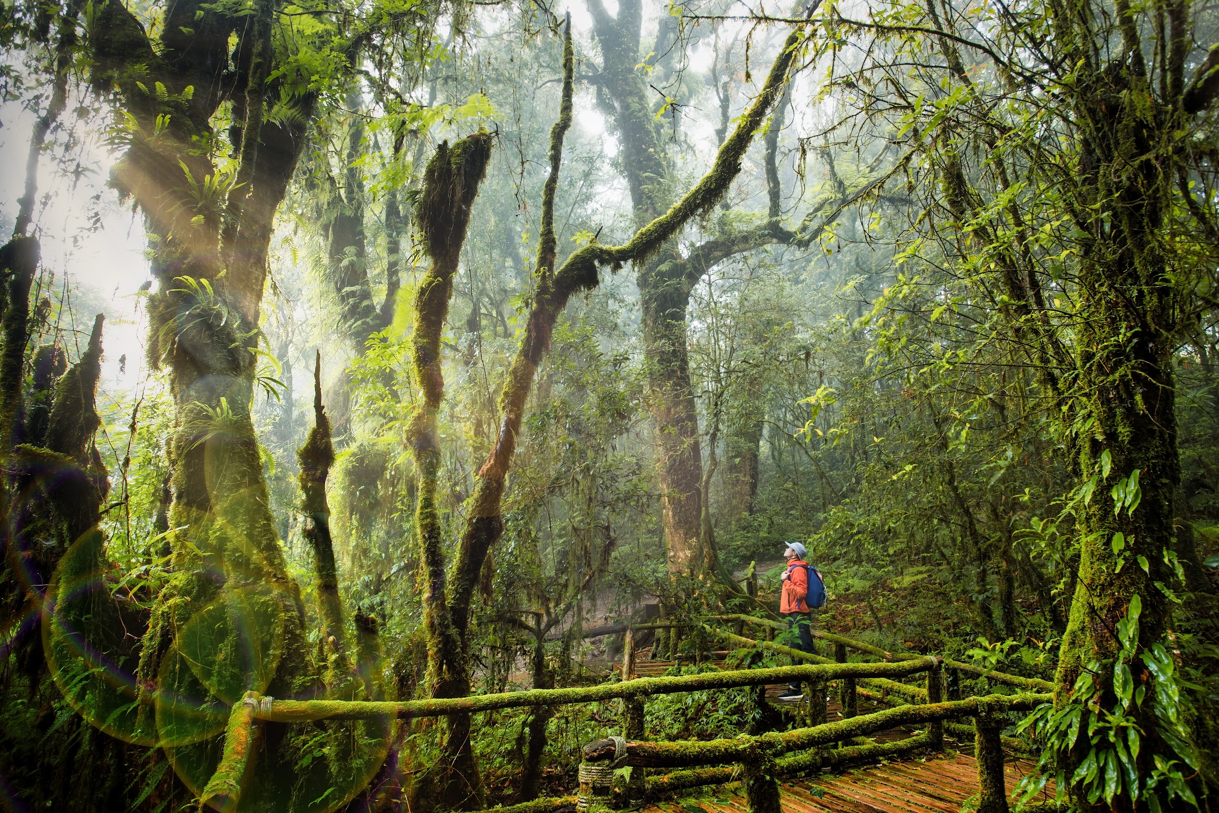 Hanh trinh song cham tai Chiang Mai, Lamphun va Lampang hinh anh