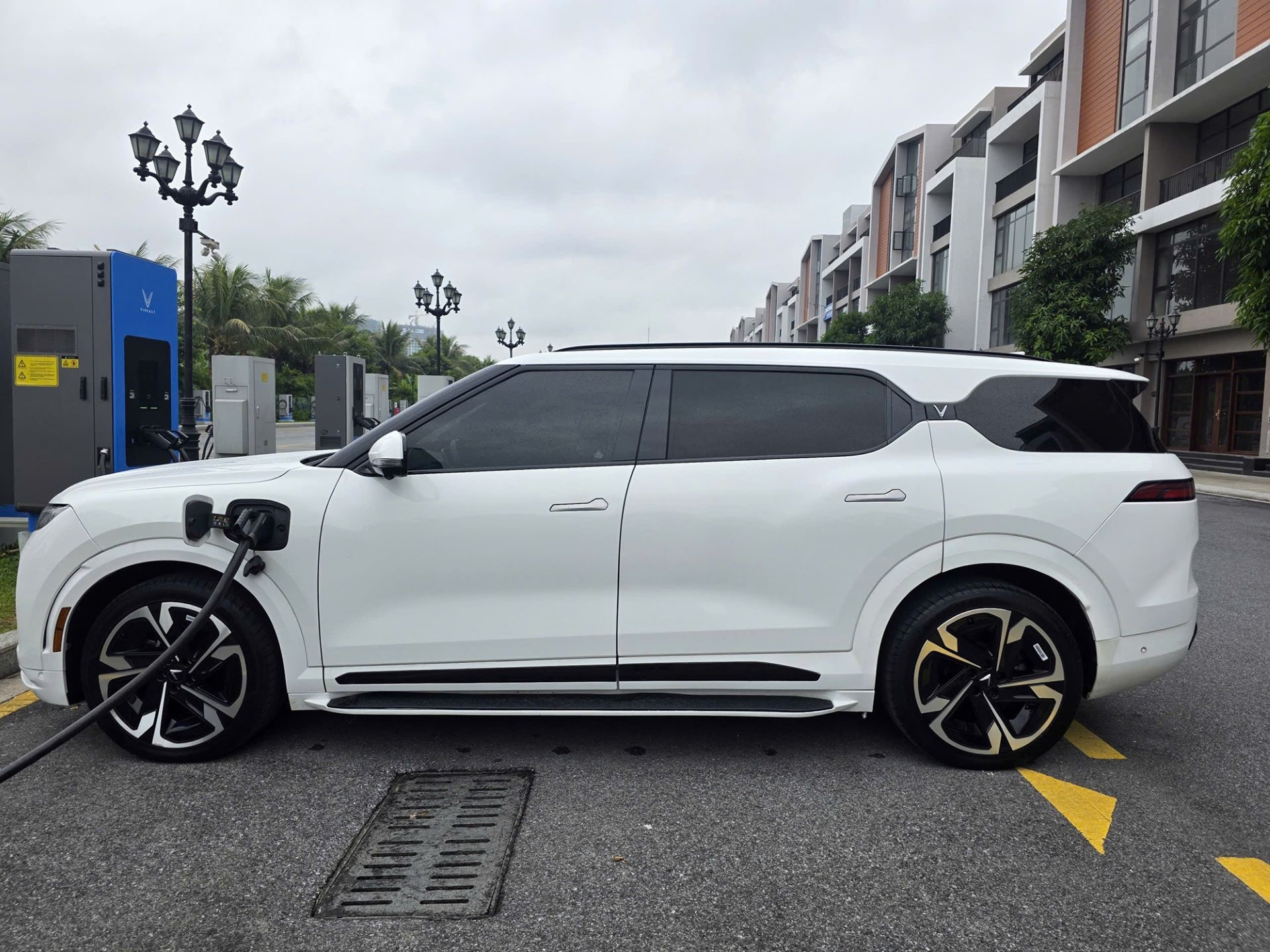 Chu nhan 11 chiec VinFast: 'Cang hieu xe dien, cang thay dang gia' hinh anh