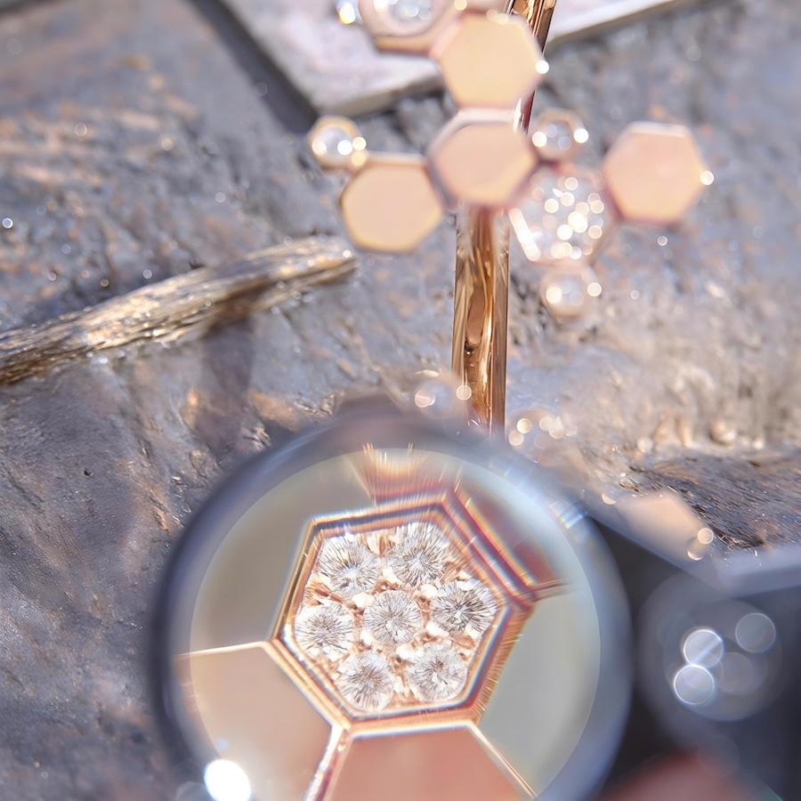 Bee De Chaumet anh 8