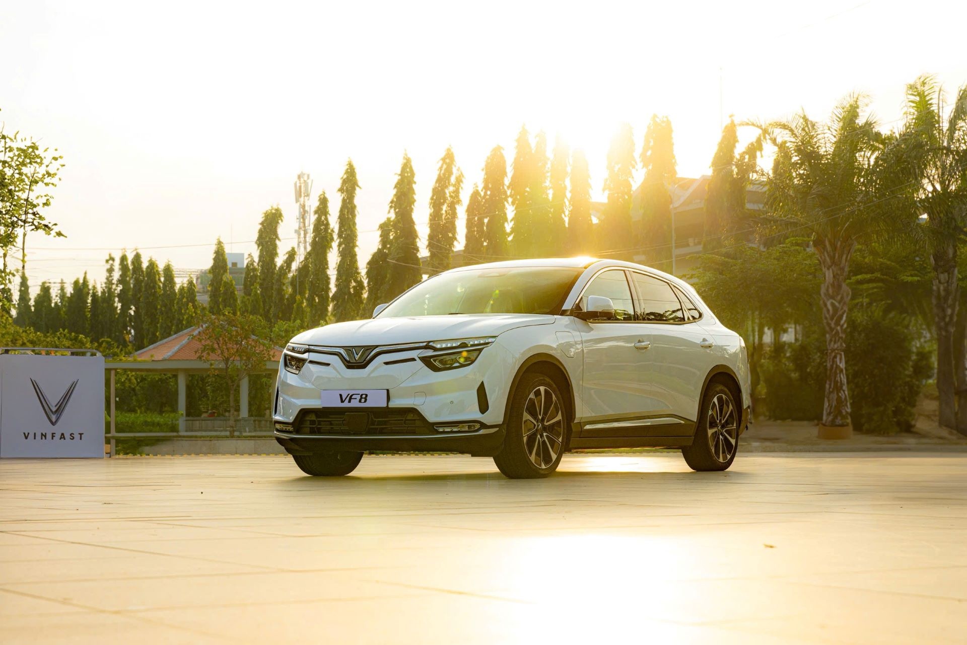 Chu xe VinFast VF 8: 'Ngay cang nhieu nguoi mua xe dien vi gia tot' hinh anh