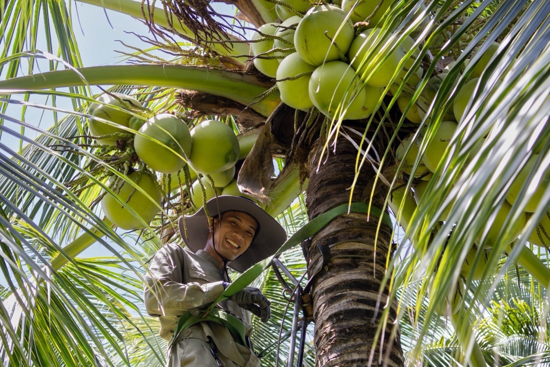 Marriott Bonvoy anh 3