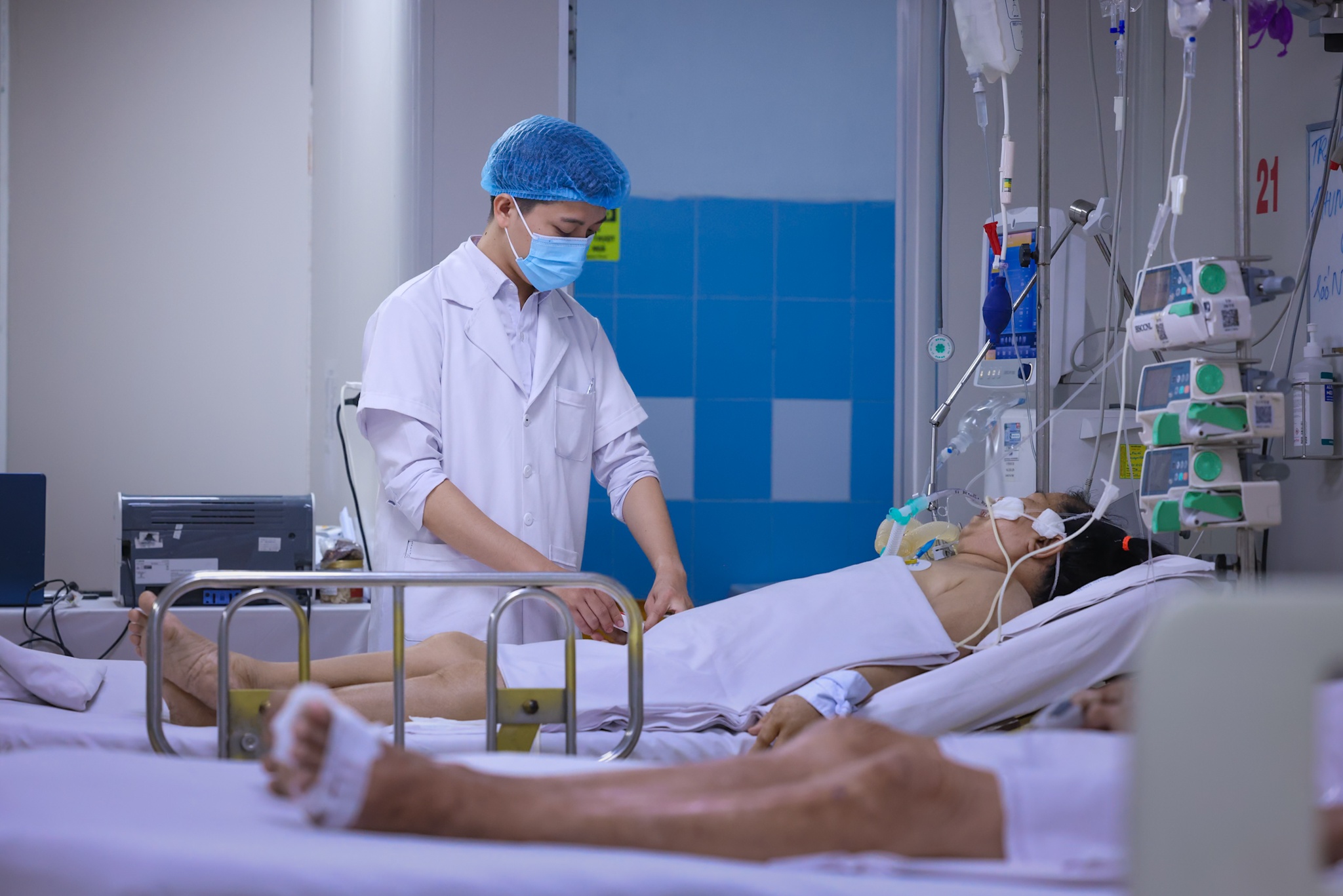 sốt xuất huyết ảnh 17 sot xuat huyet anh 17