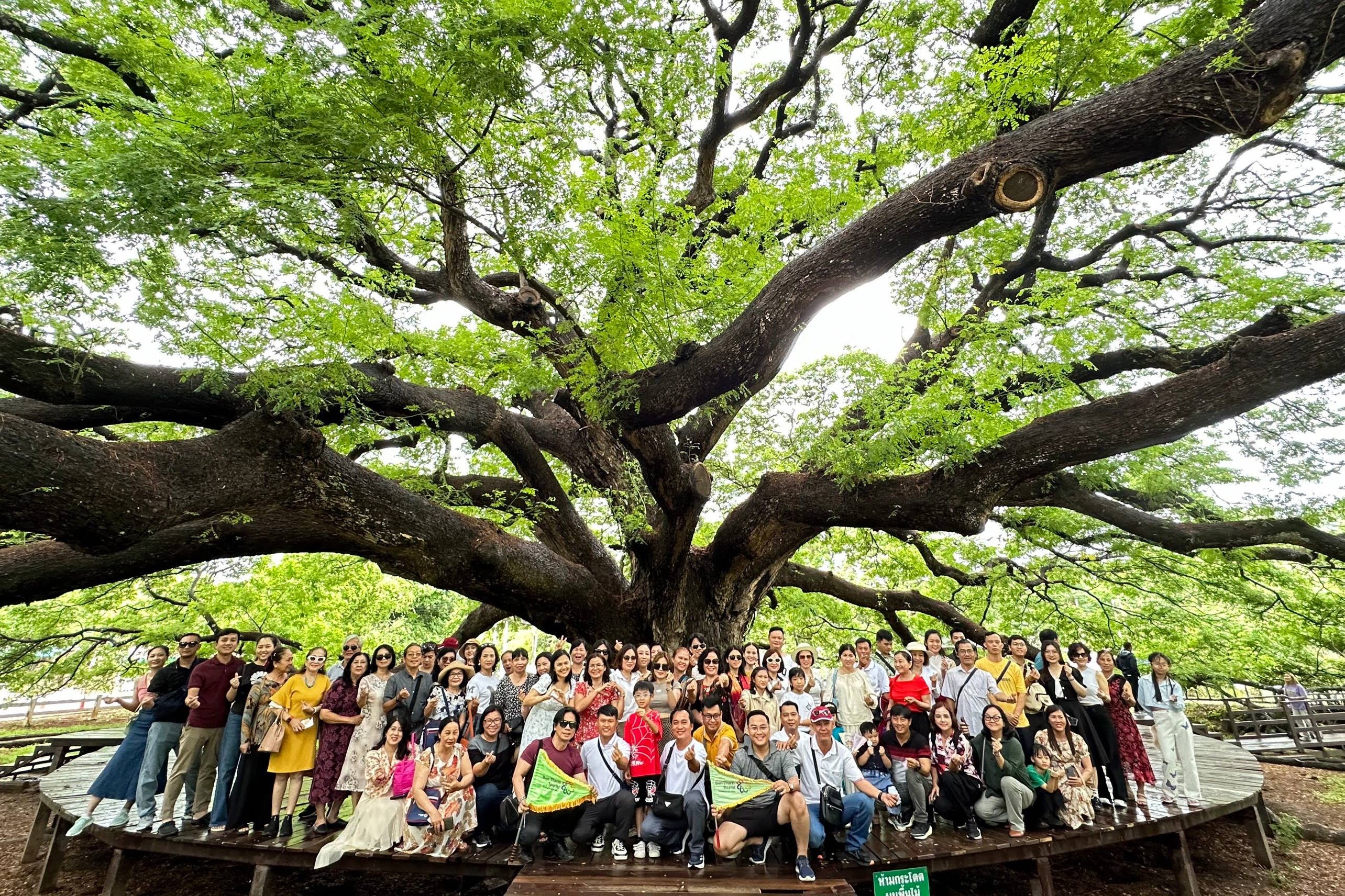 BenThanh Tourist anh 1