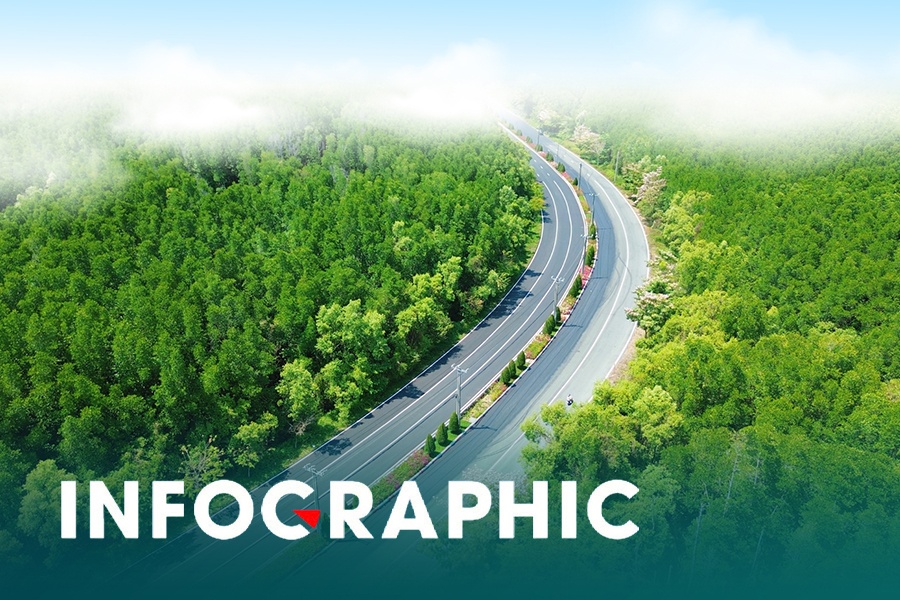 Nhung dieu runner can biet khi chay 'xuyen rung, cham bien' o Can Gio hinh anh