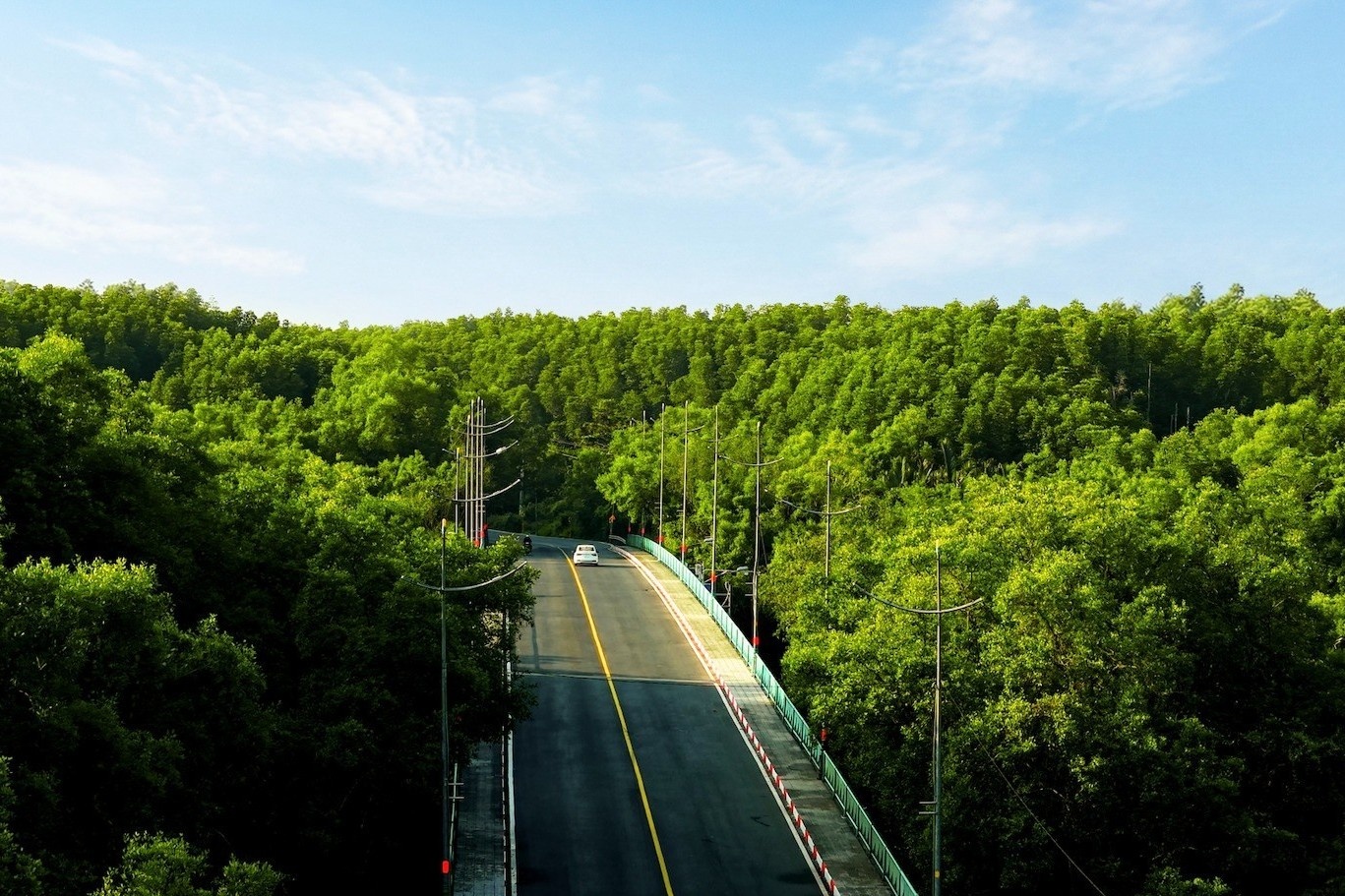 Suc hut giup giai chay 'xuyen rung - cham bien' ban het ve sau 12 ngay hinh anh