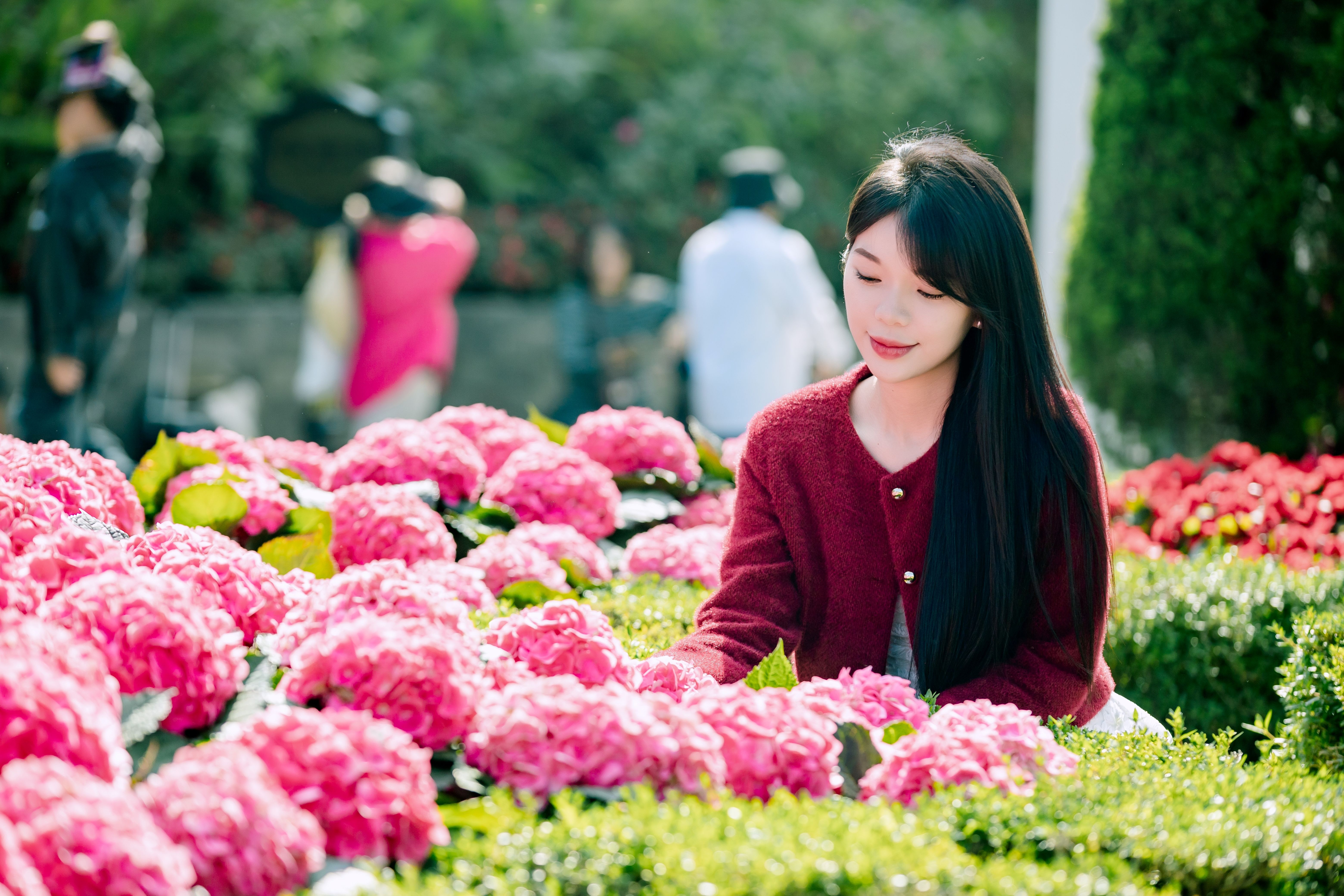 Sun World Ba Na Hills anh 5