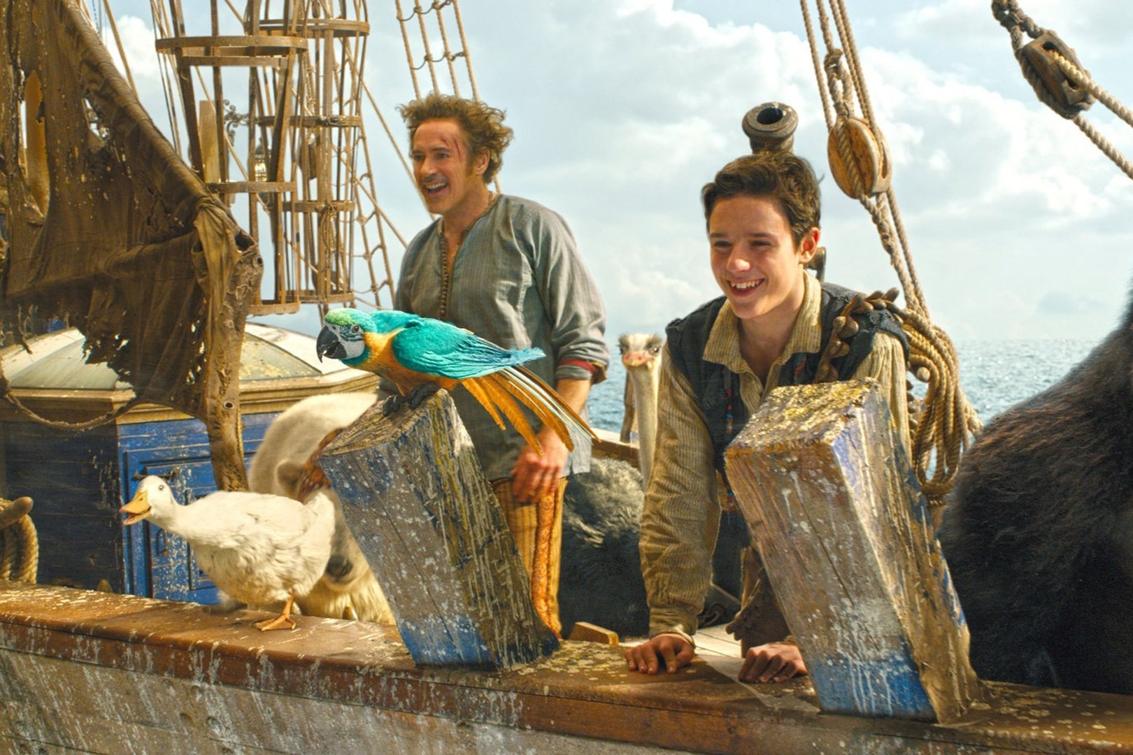 Da dang lua chon phim xem tai nha dip le hinh anh