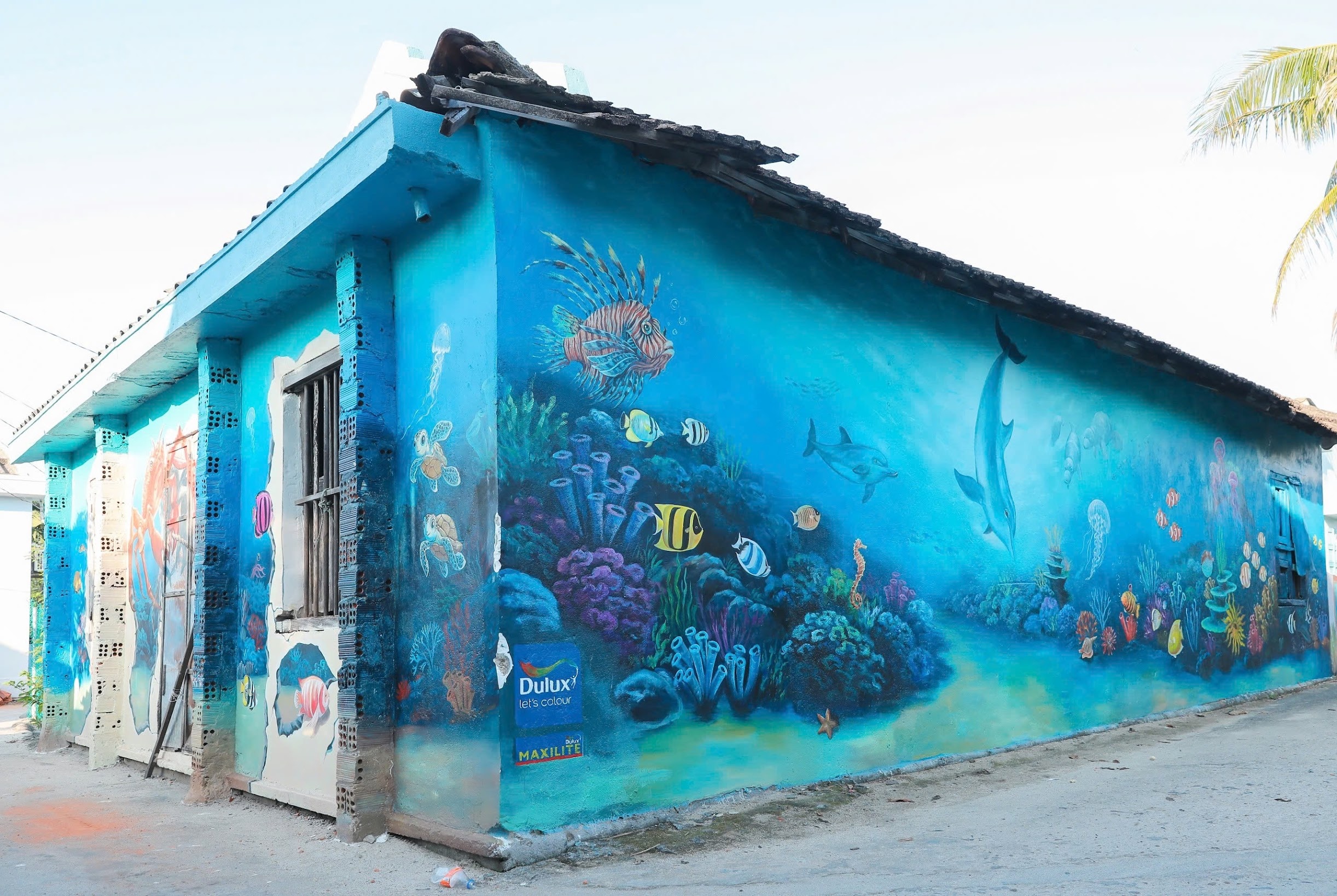 Dao An Binh o Ly Son lot xac ngoan muc trong dien mao moi hinh anh