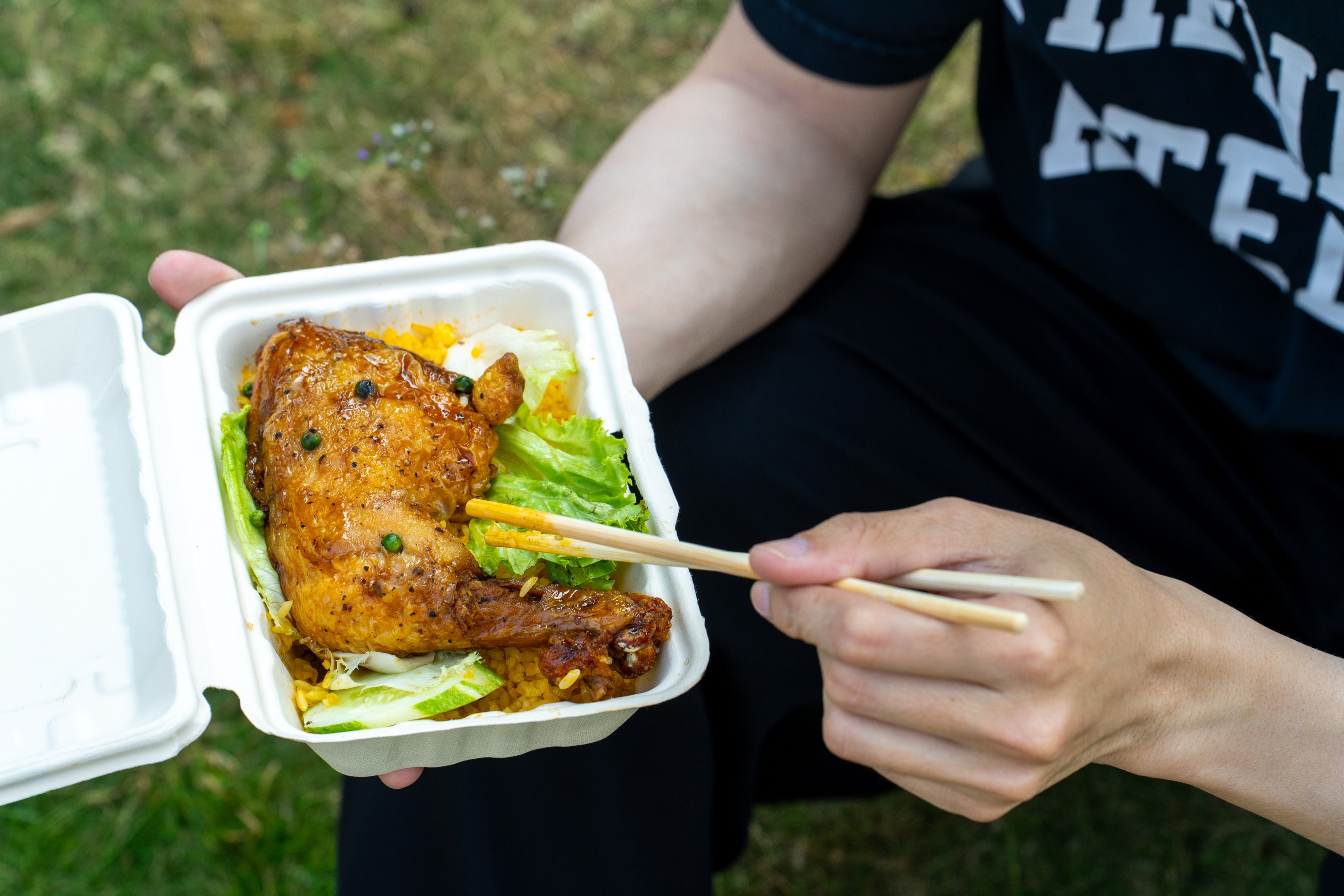 com ga,  An di da anh 9