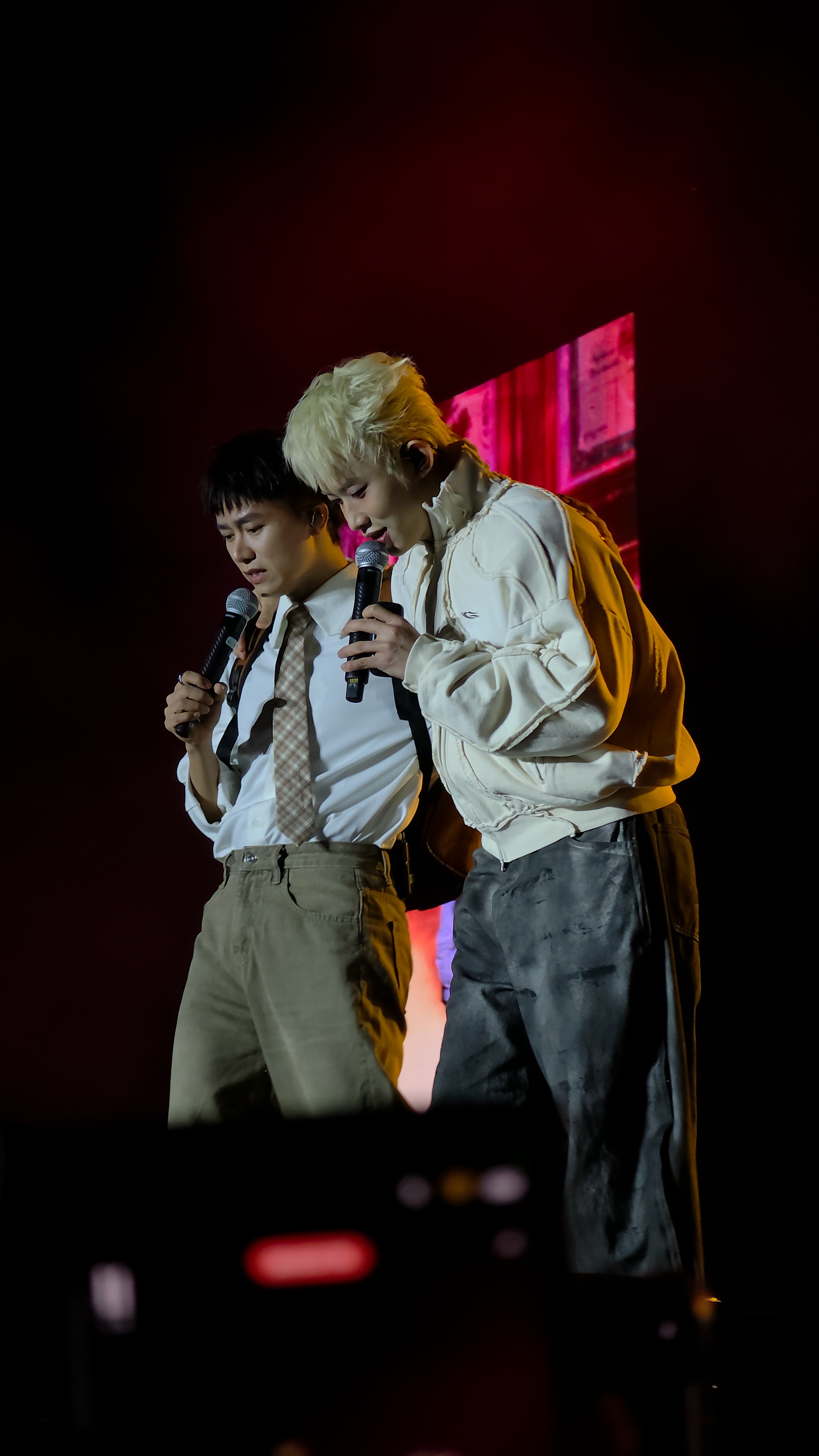 Gai Home concert anh 3