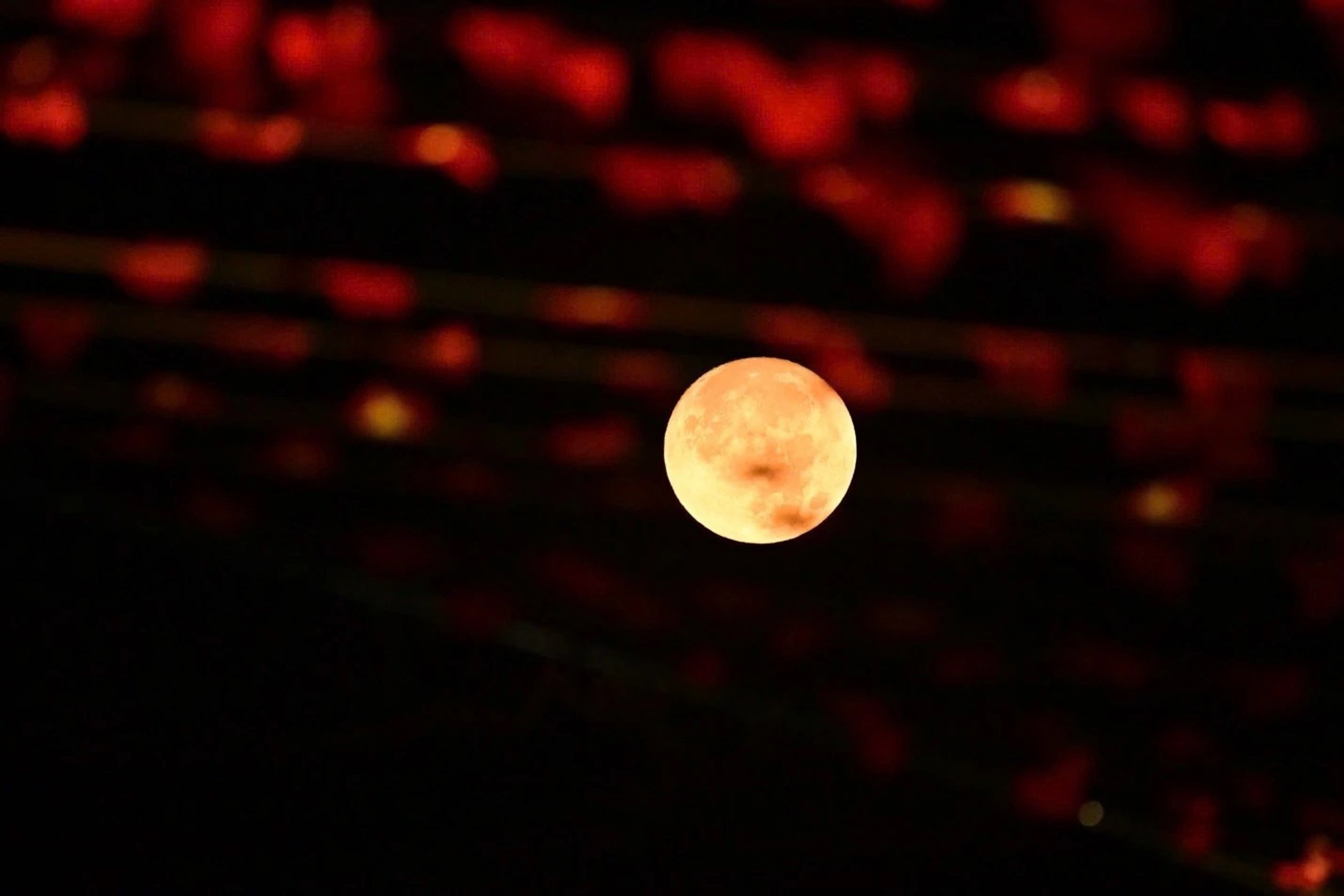 Green Paradise Can Gio anh 5