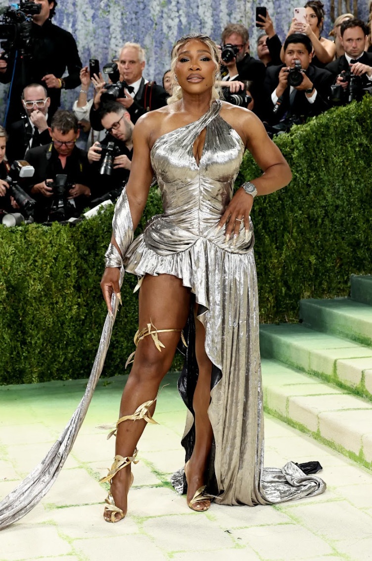 Met Gala anh 11