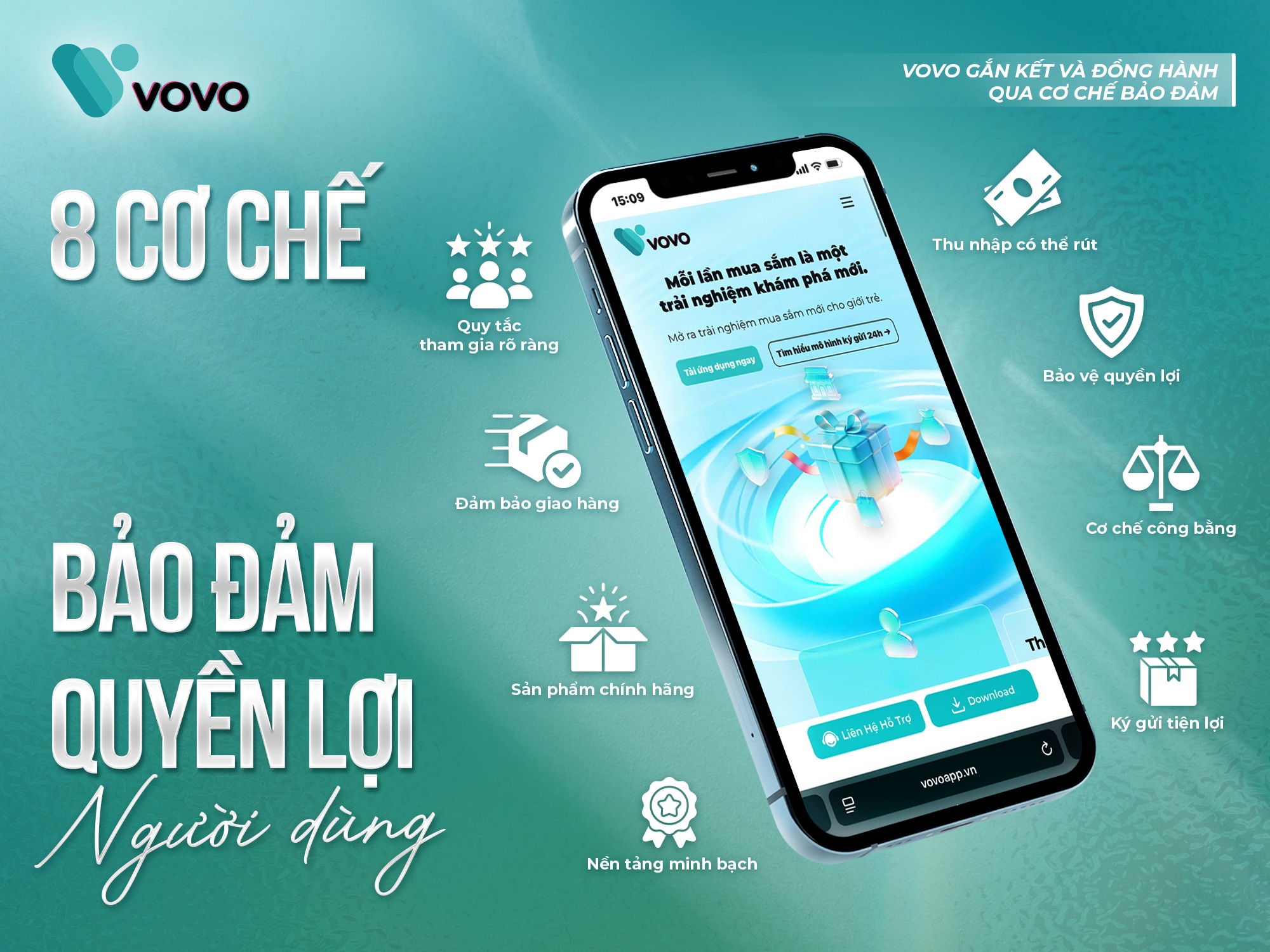 Vovo anh 3