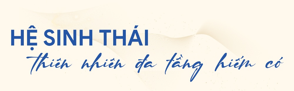 Caraworld ảnh 7 Caraworld anh 7
