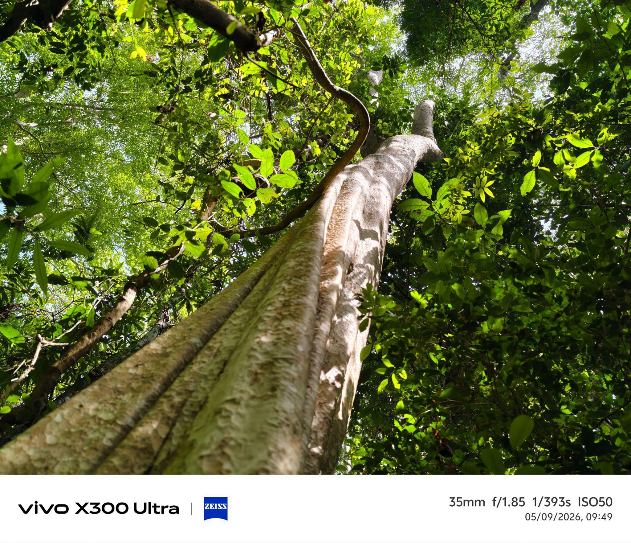 vivo X300 Ultra ảnh 6 vivo X300 Ultra anh 6