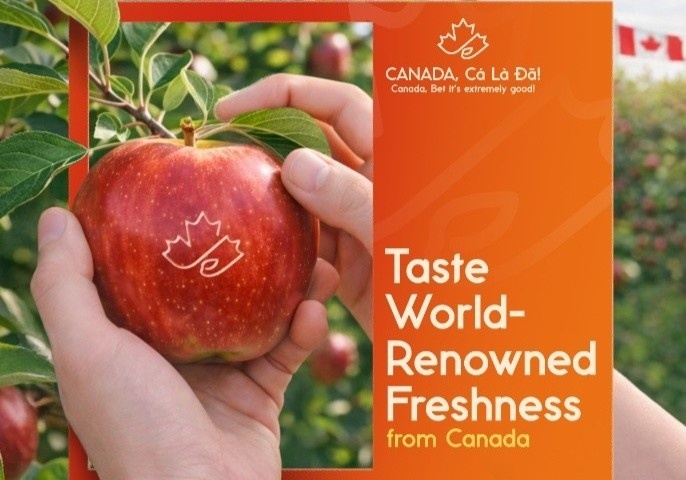 Nong san Canada - hanh trinh tu trang trai Canada den gian bep Viet hinh anh