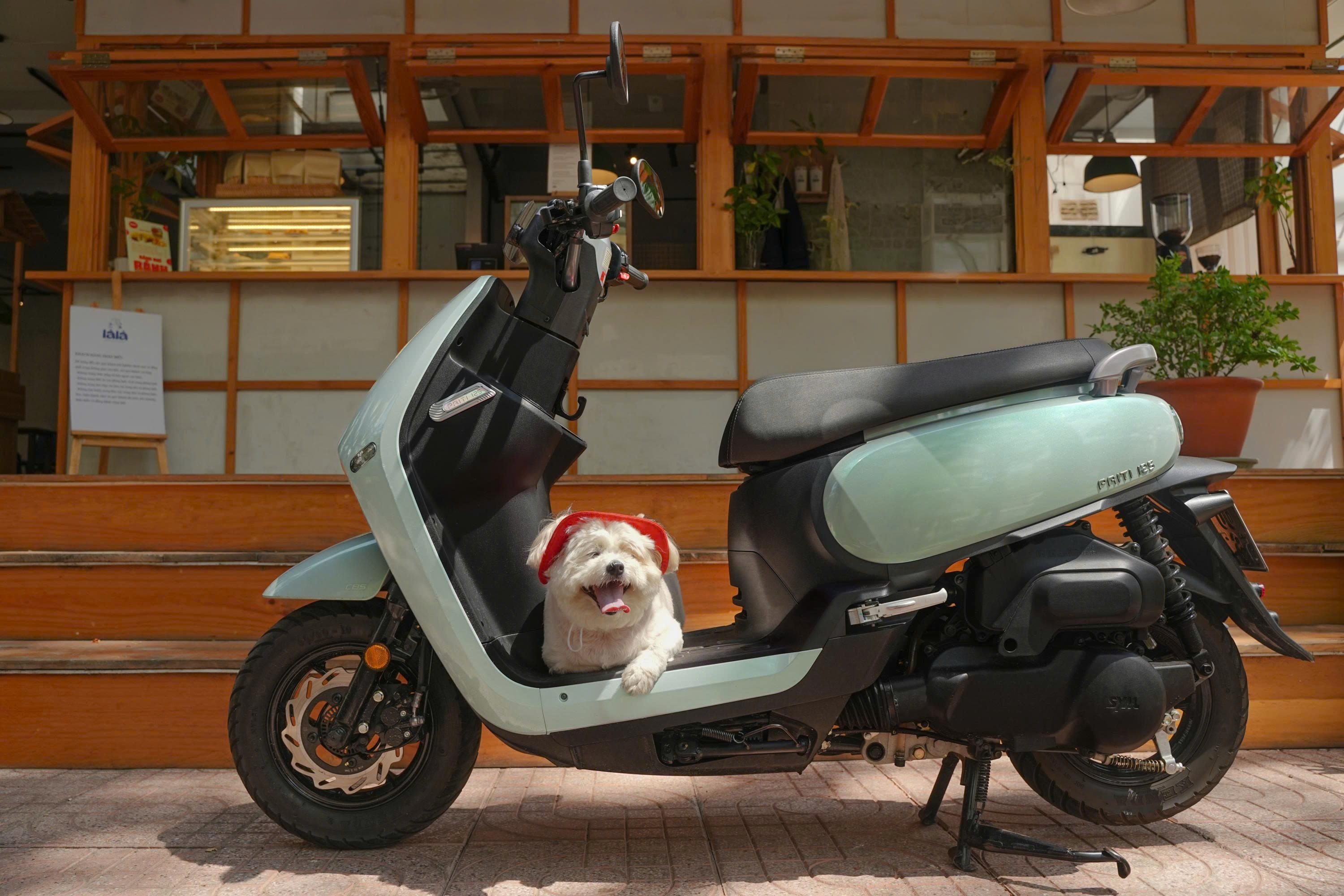 SYM Priti 125 anh 3