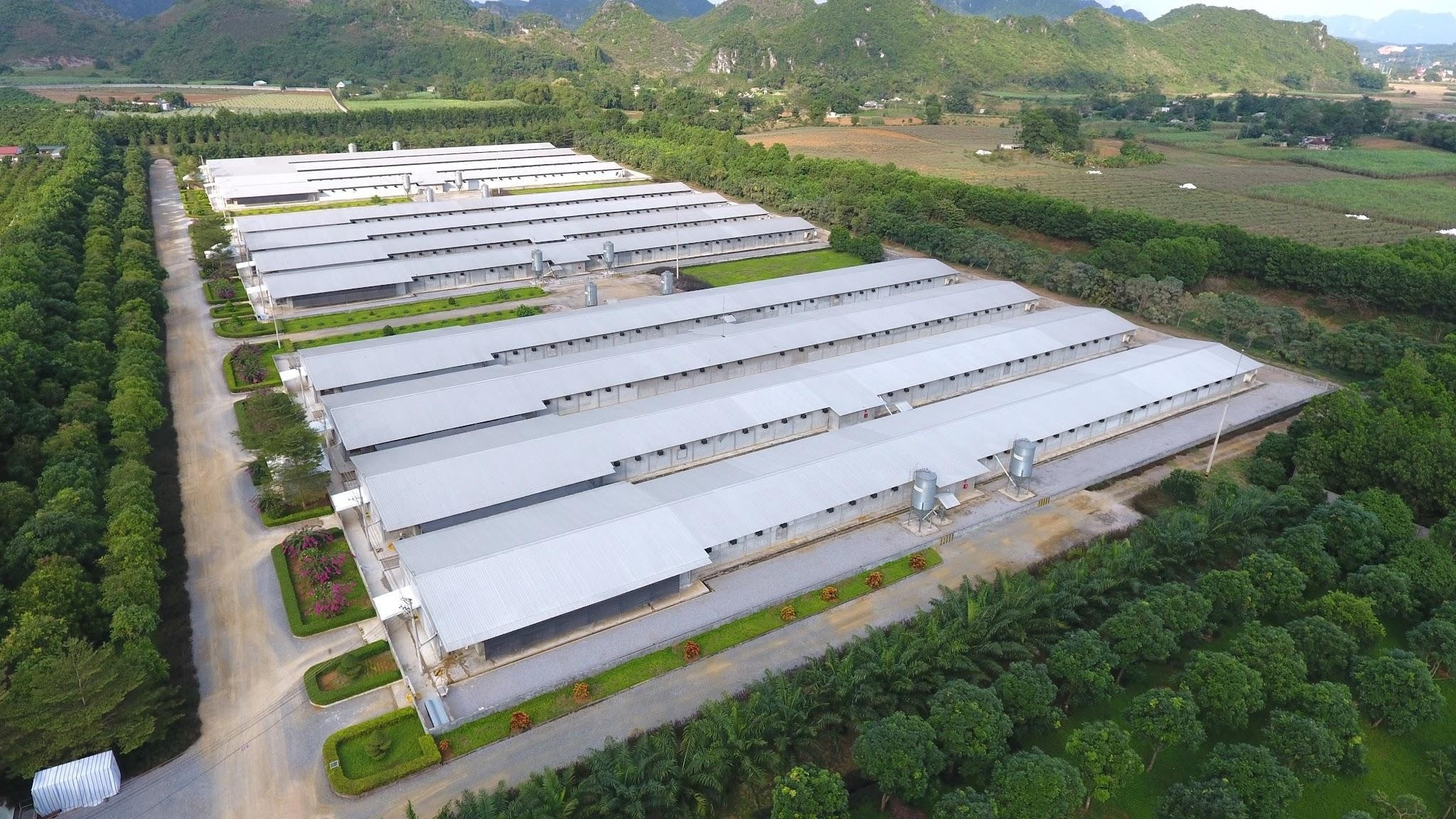 C.P. Việt Nam ảnh 5